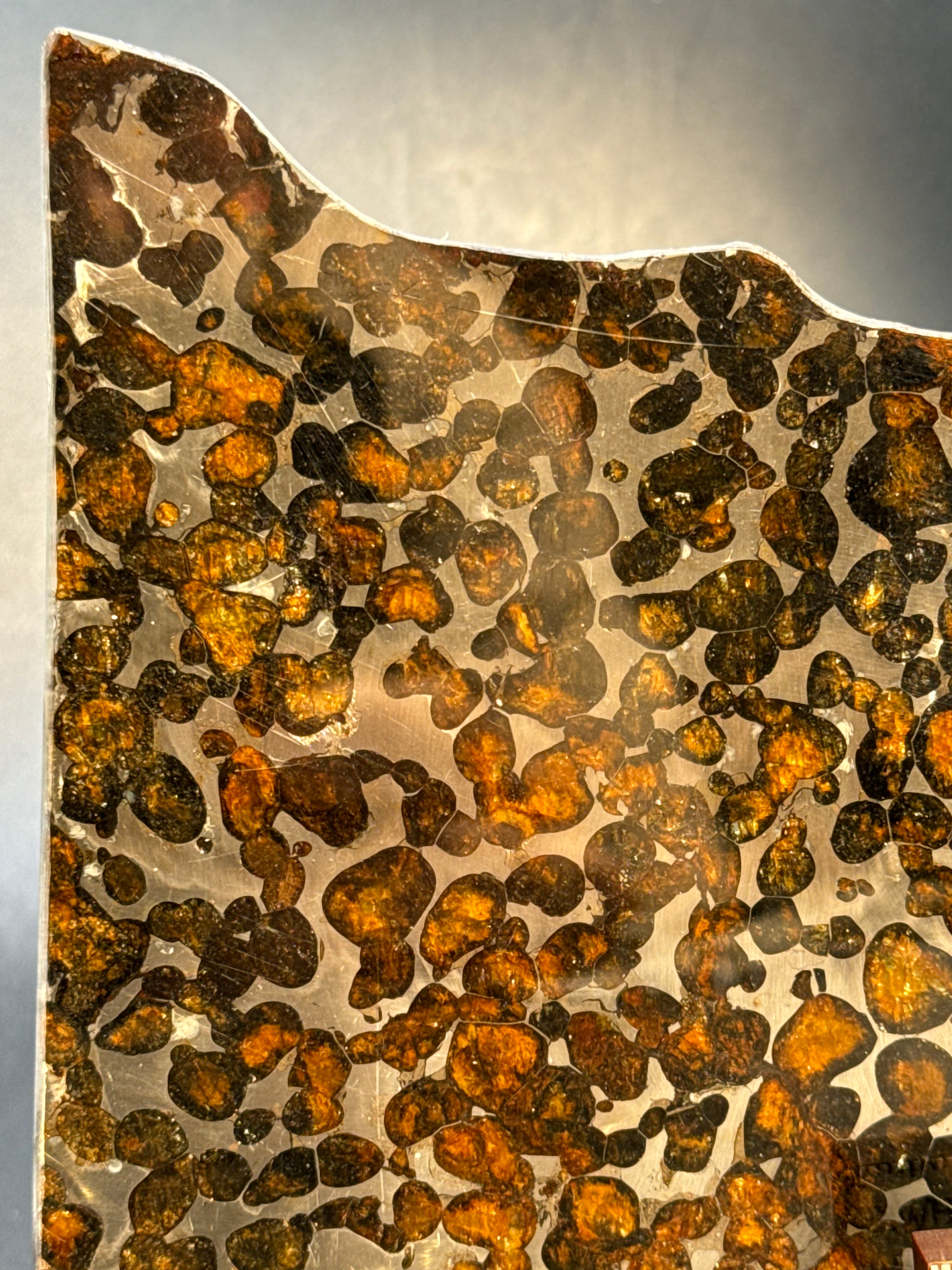 SERICHO METEORITE, KENYA. 66 GRAMS SLICE