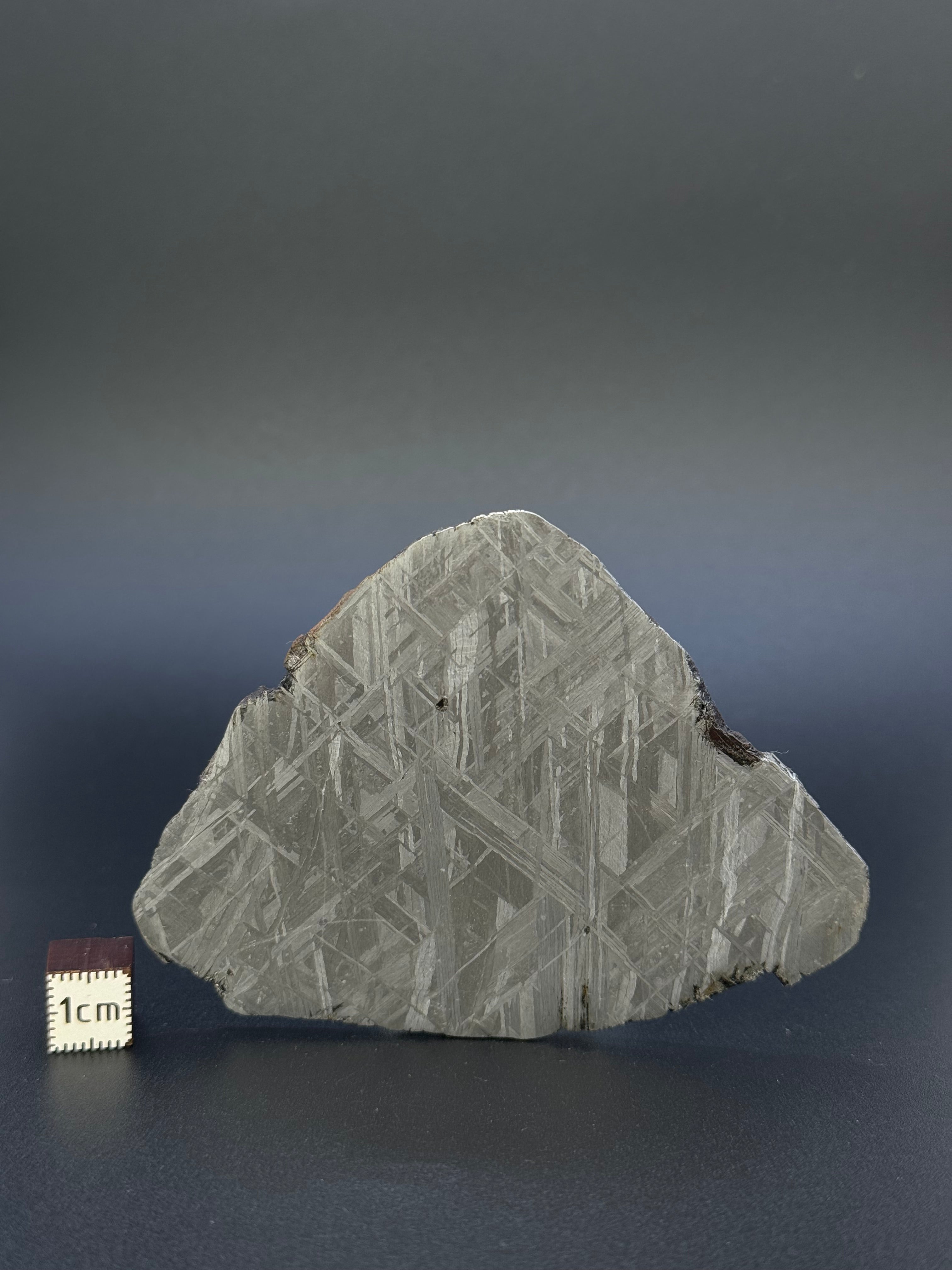 MUONIONALUSTA METEORITE, SWEDEN. 88,32 GRAMS SLICE.