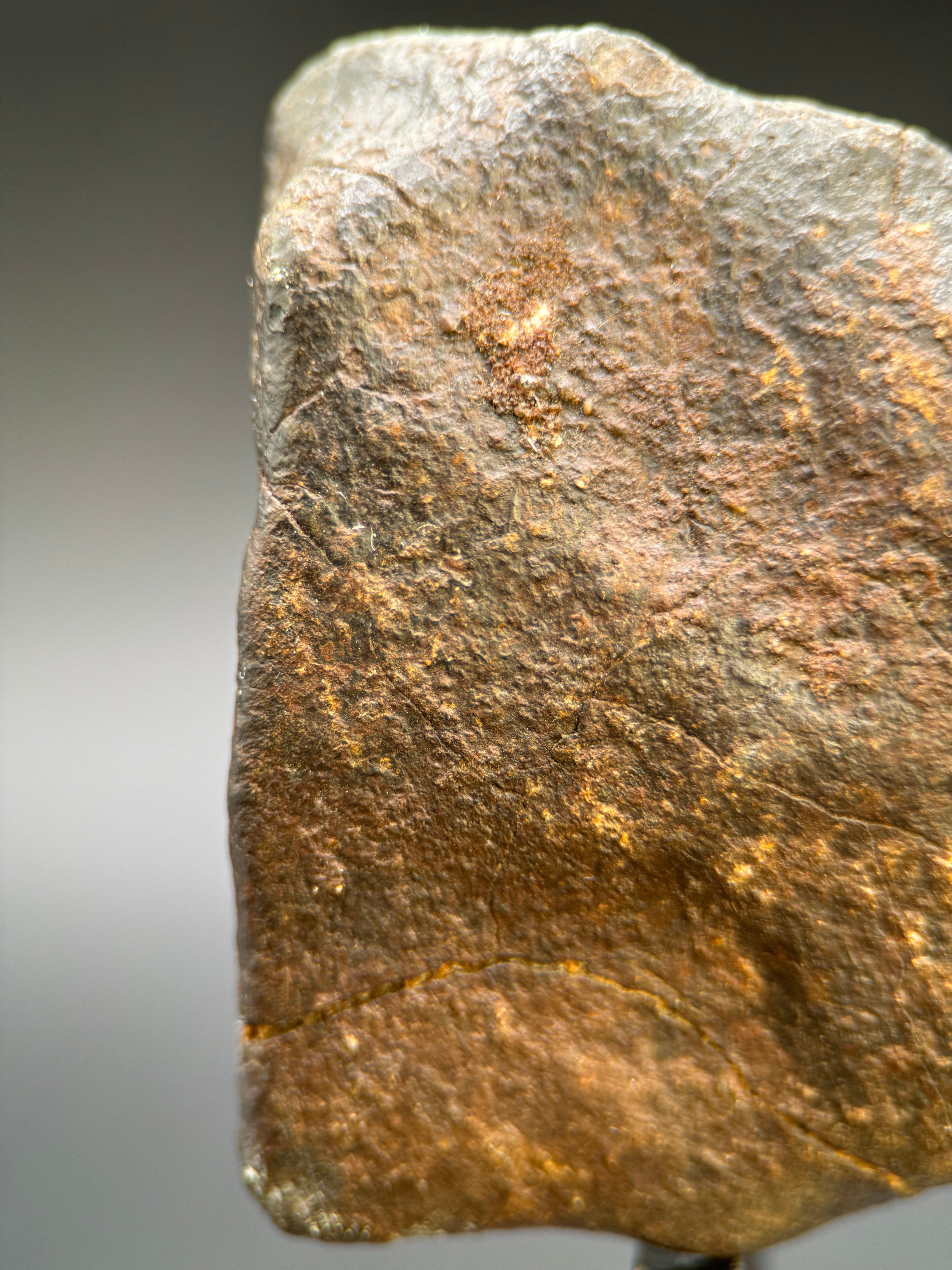 CHONDRITE METEORITE, NORTH WEST AFRICA. 263 GRAMS.