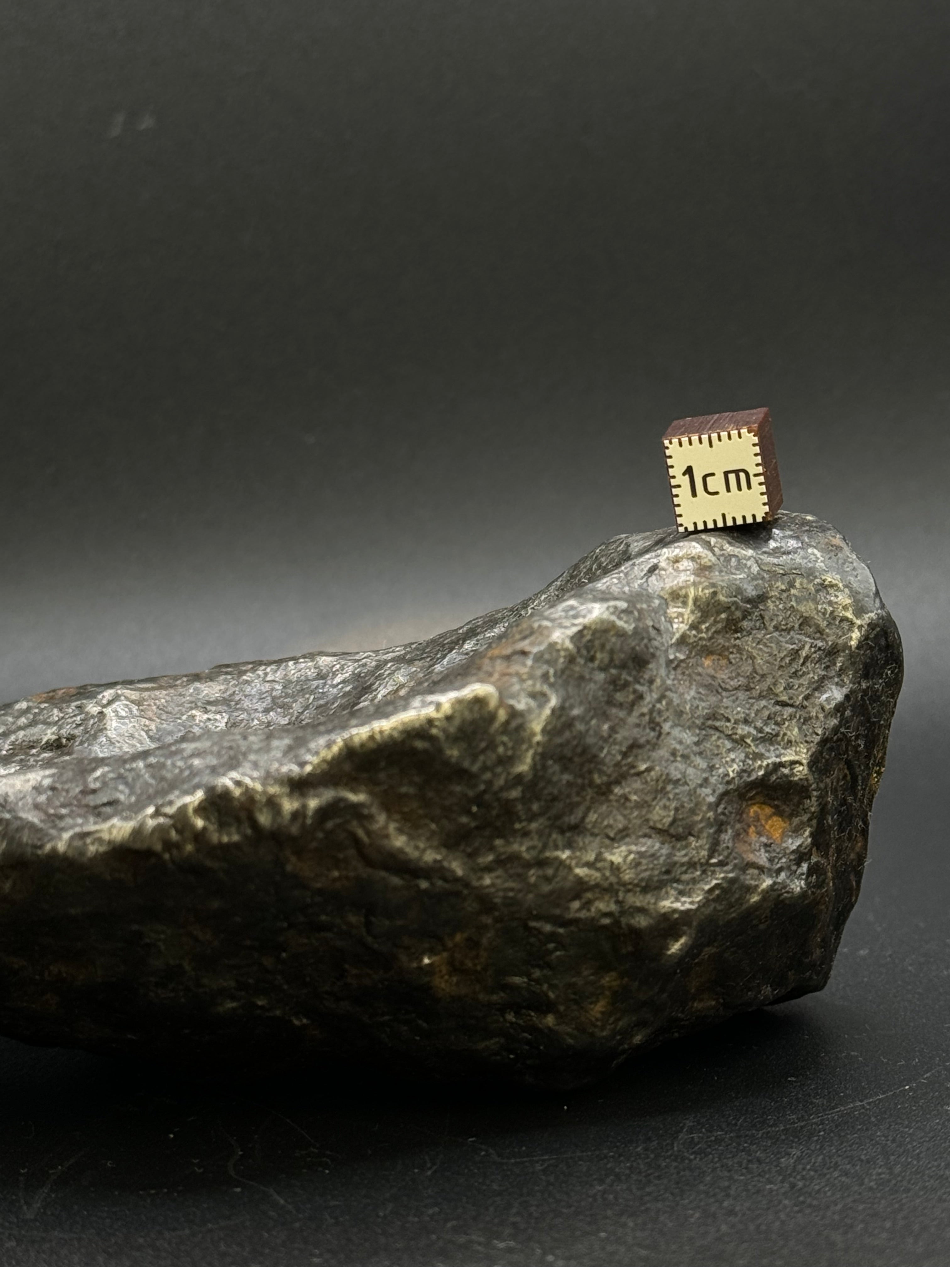 MUONIONALUSTA METEORITE, SWEDEN. FULL METEORITE 1711 grams.