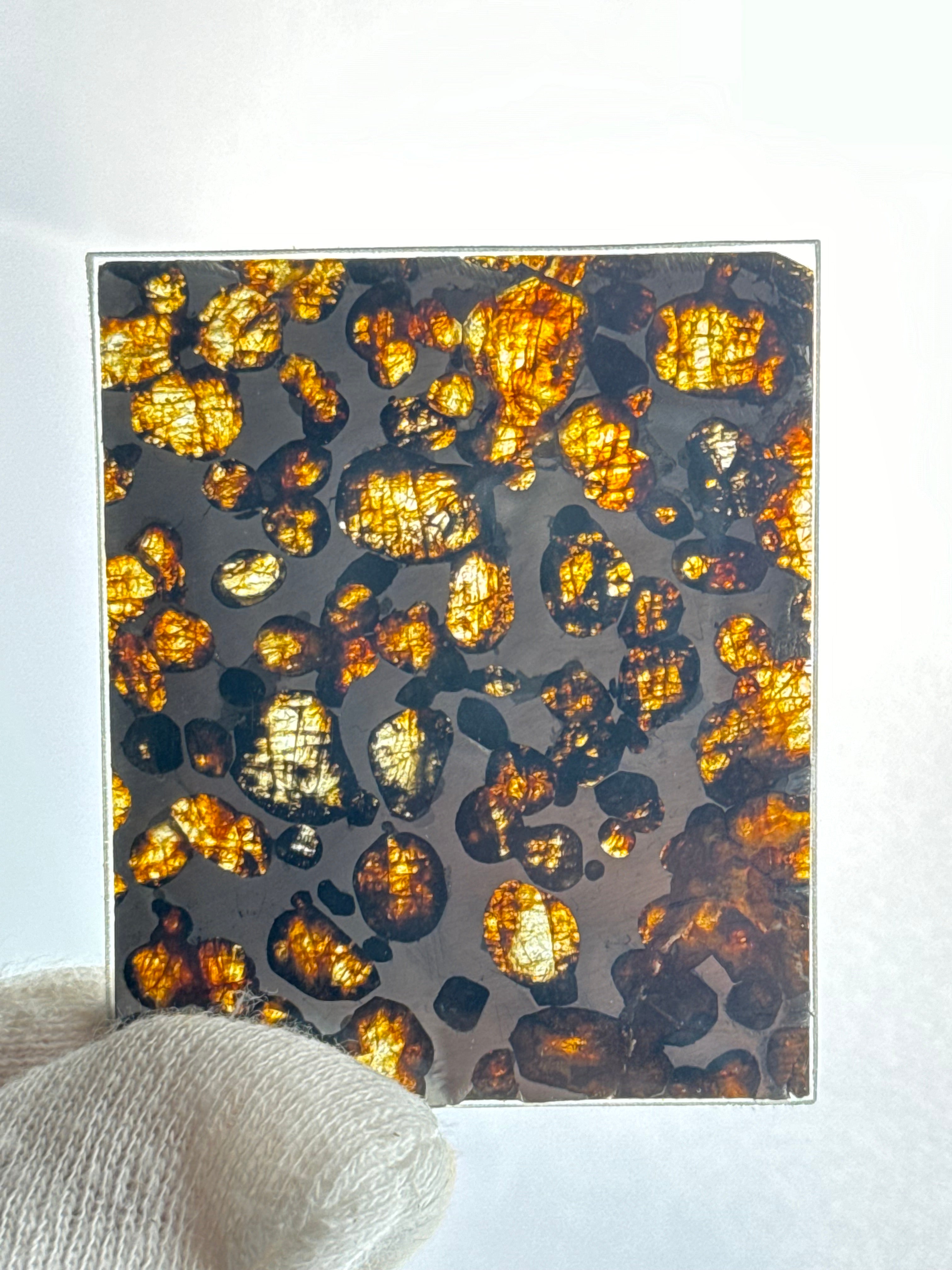 SERICHO METEORITE, KENYA. 13,5 GRAMS.