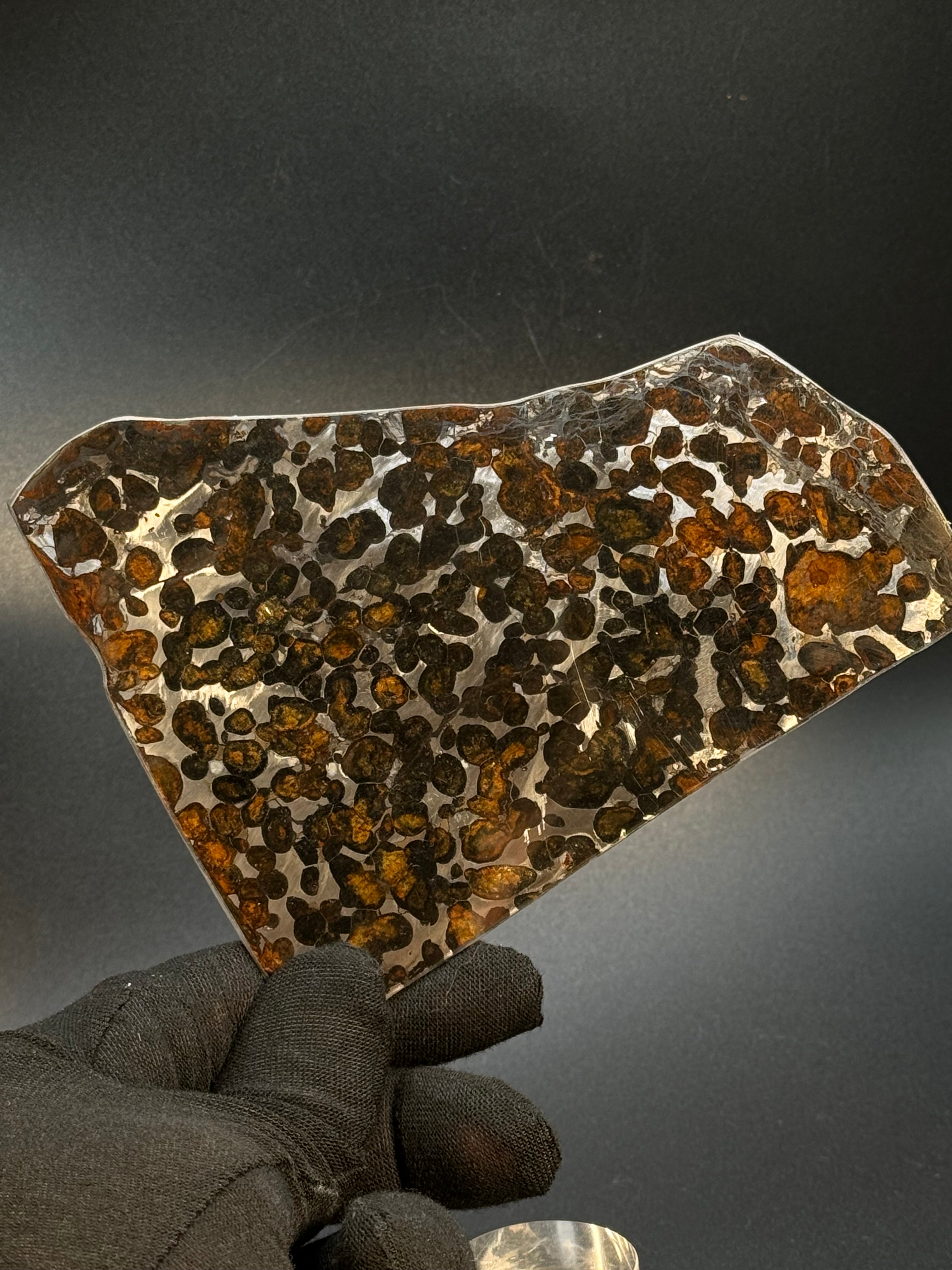 SERICHO METEORITE, KENYA. 65 GRAMS SLICE