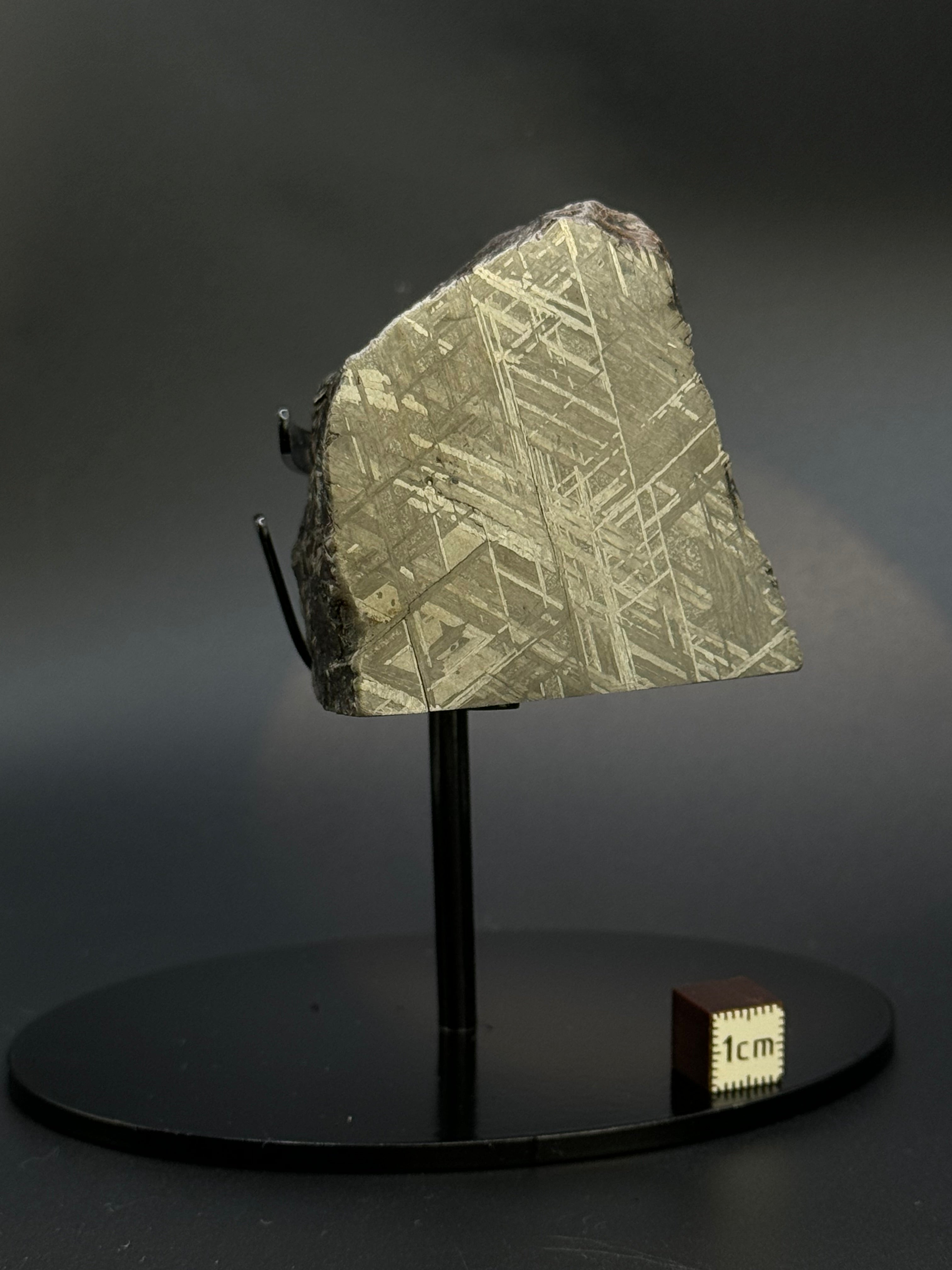 MUONIONALUSTA METEORITE, SWEDEN. 487 GRAMS END-CUT.