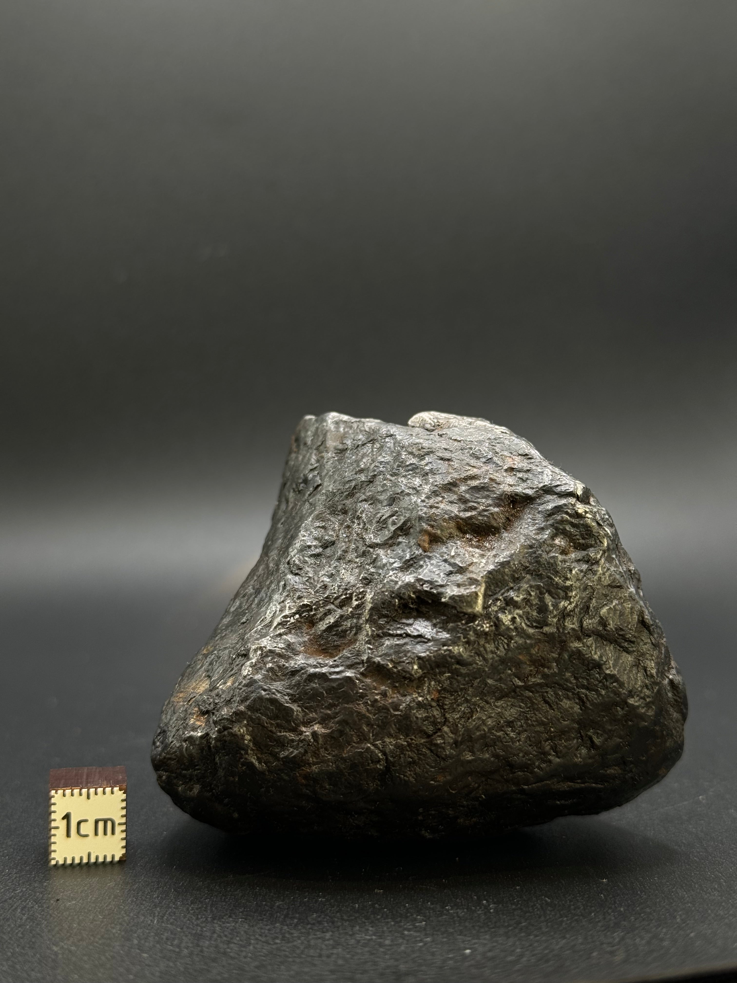 MUONIONALUSTA METEORITE, SWEDEN. FULL METEORITE 843 GRAMS.