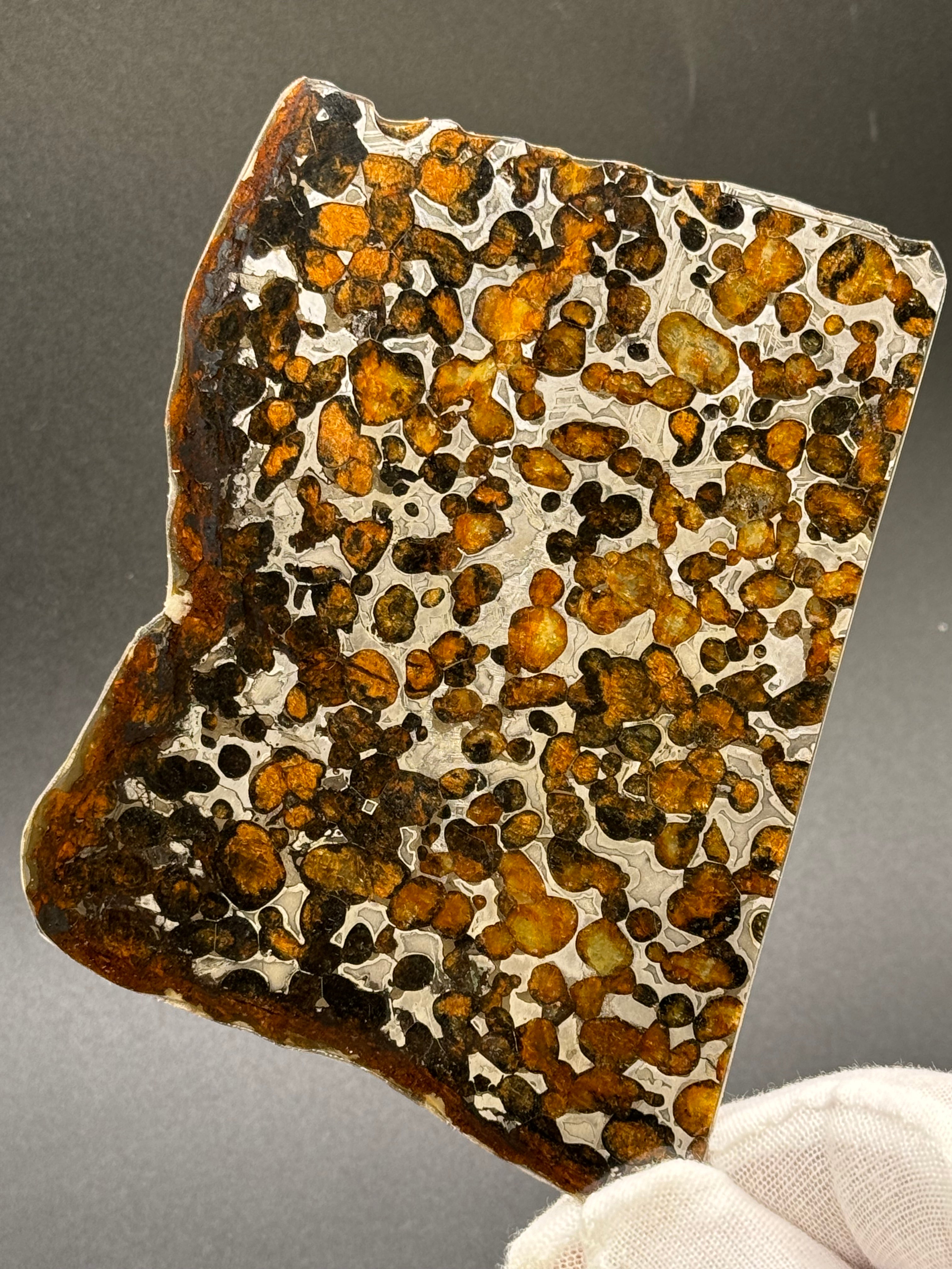 SERICHO METEORITE, KENYA. 62,07 GRAMS SLICE