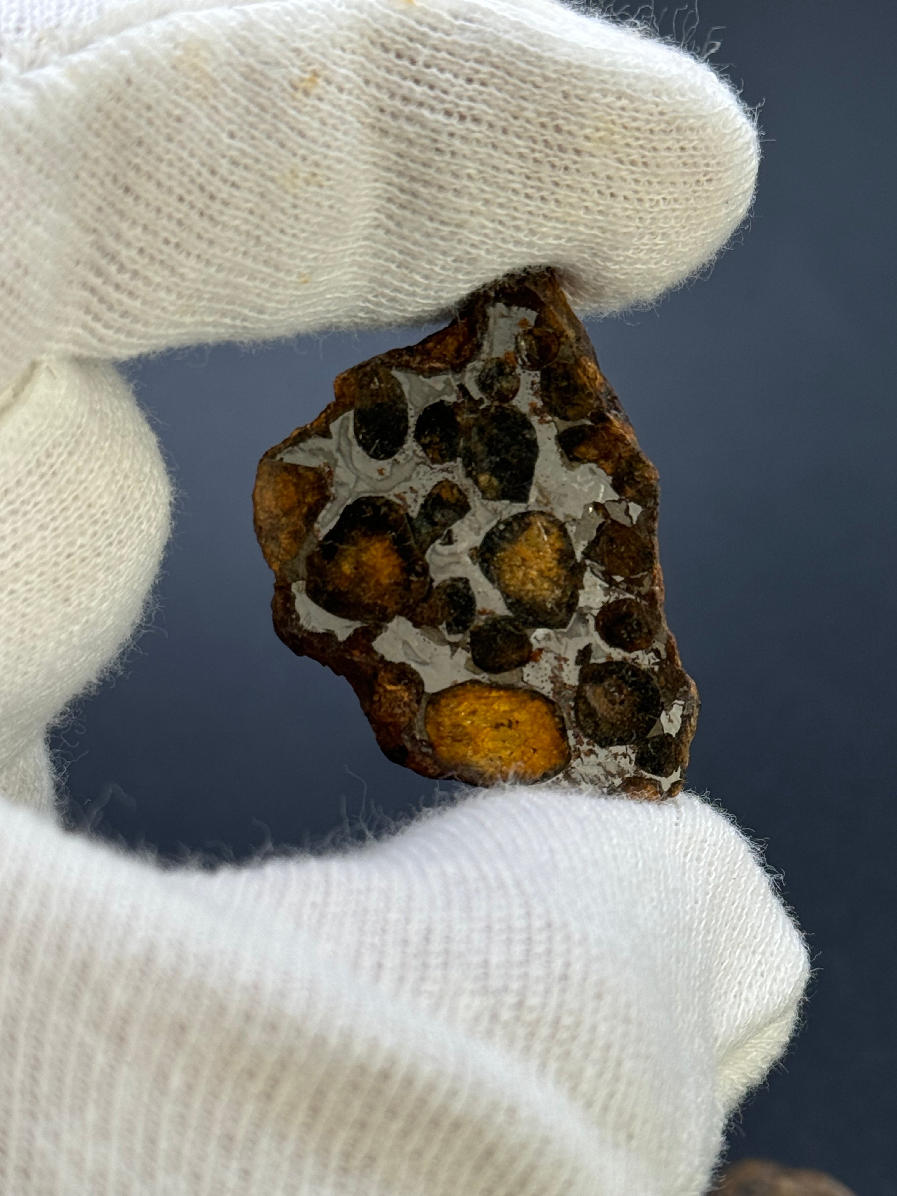 SERICHO PALLASITE METEORITE, KENYA. 19,78 GRAMS END-CUT