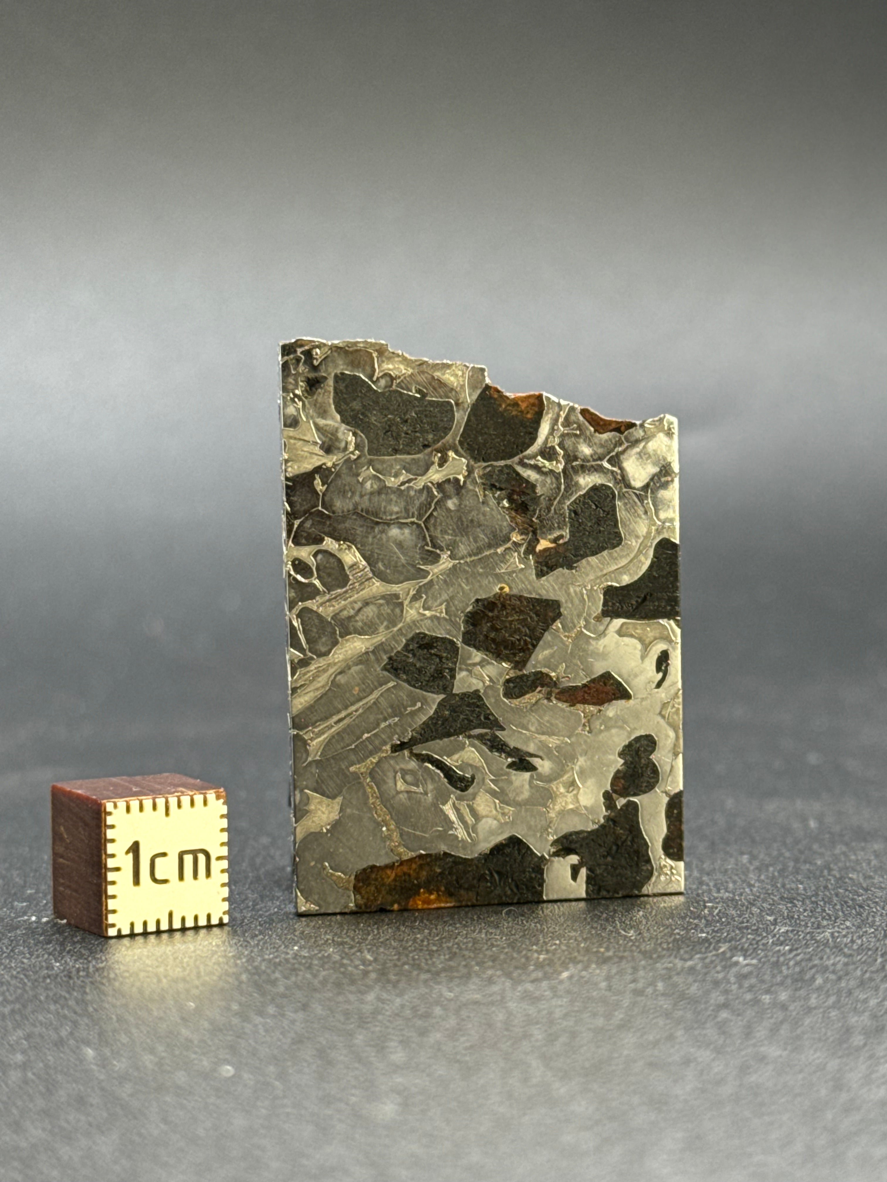 SEYMCHAN METEORITE, MAGADAN REGION, RUSSIA. 16,5 GRAMS.