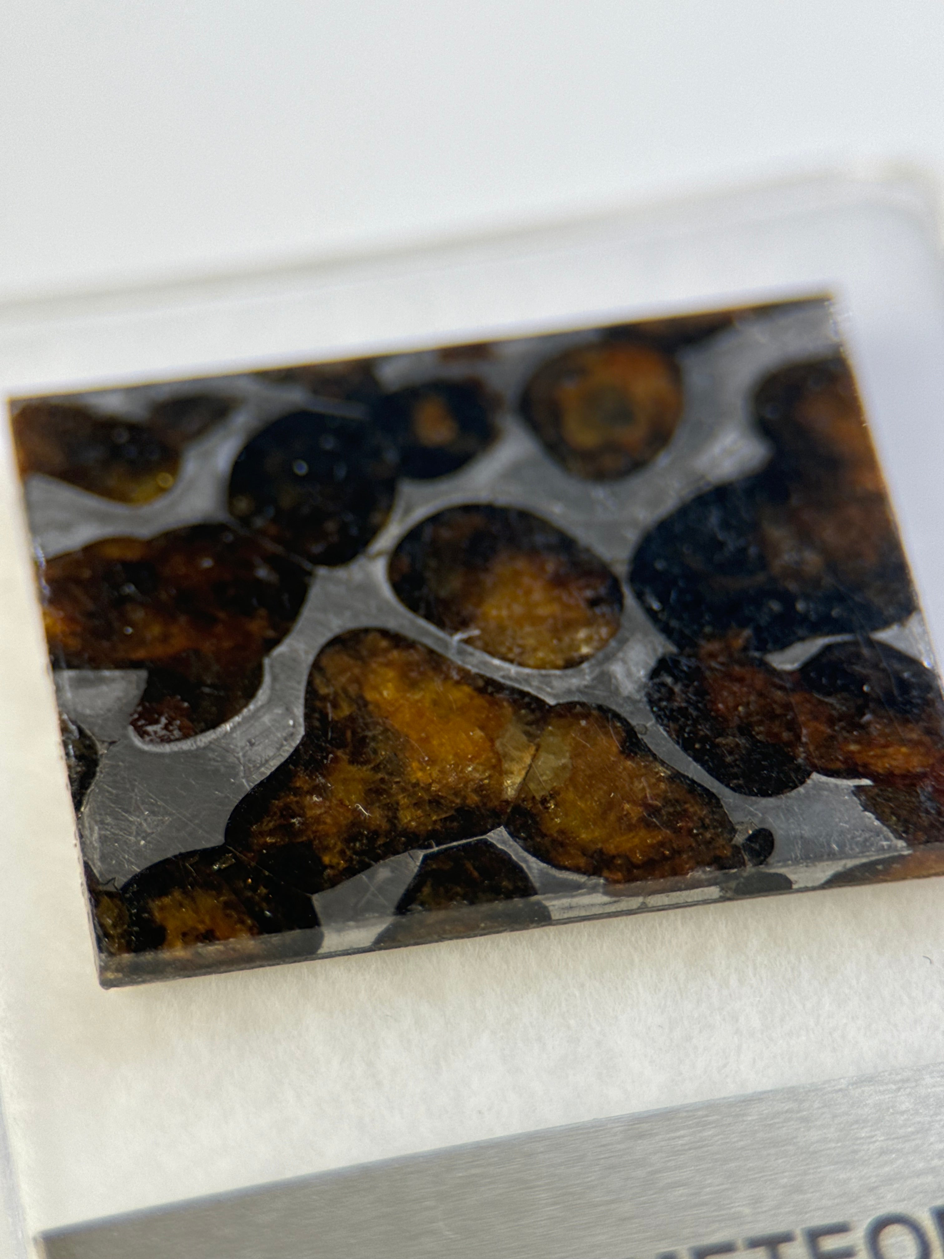 SERICHO METEORITE, KENYA. DISPLAY BOX. 5 GRAMS.