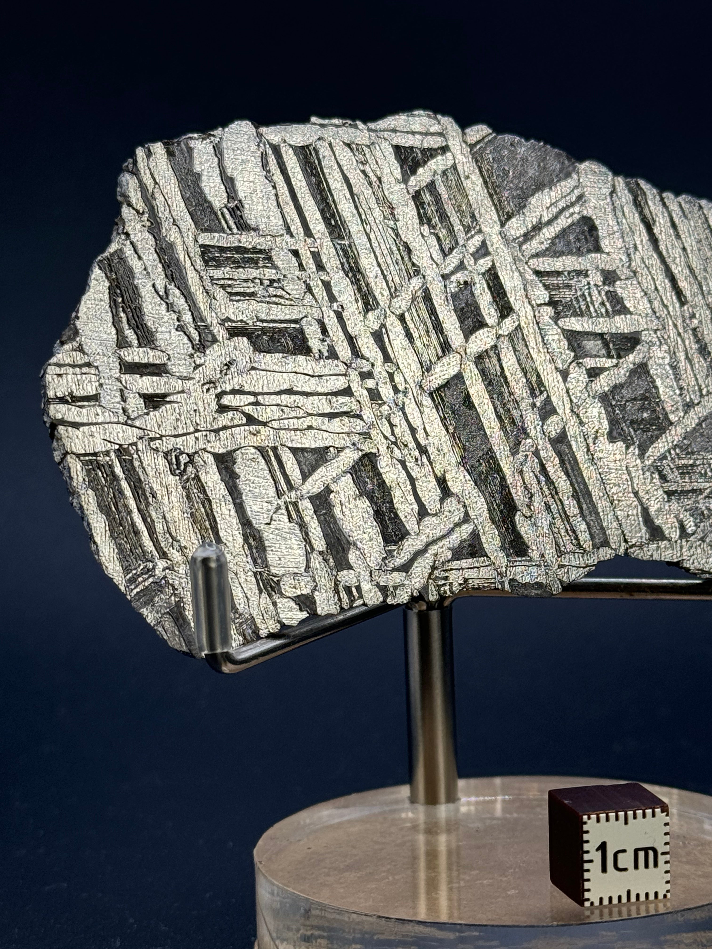 SEYMCHAN METEORITE, MAGADAN REGION, RUSSIA. 71,2 GRAMS.