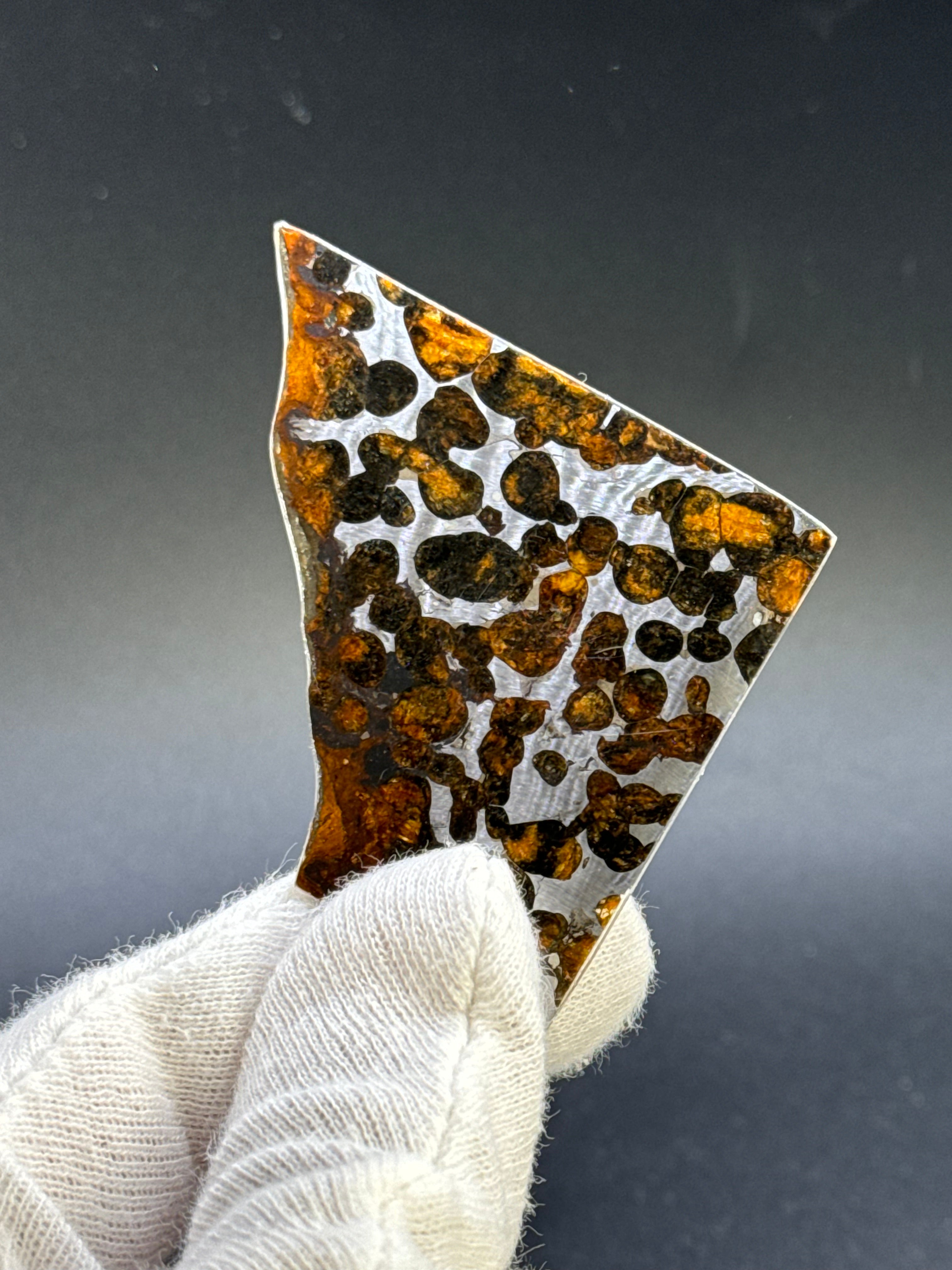 SERICHO METEORITE, KENYA. 11,39 GRAMS.