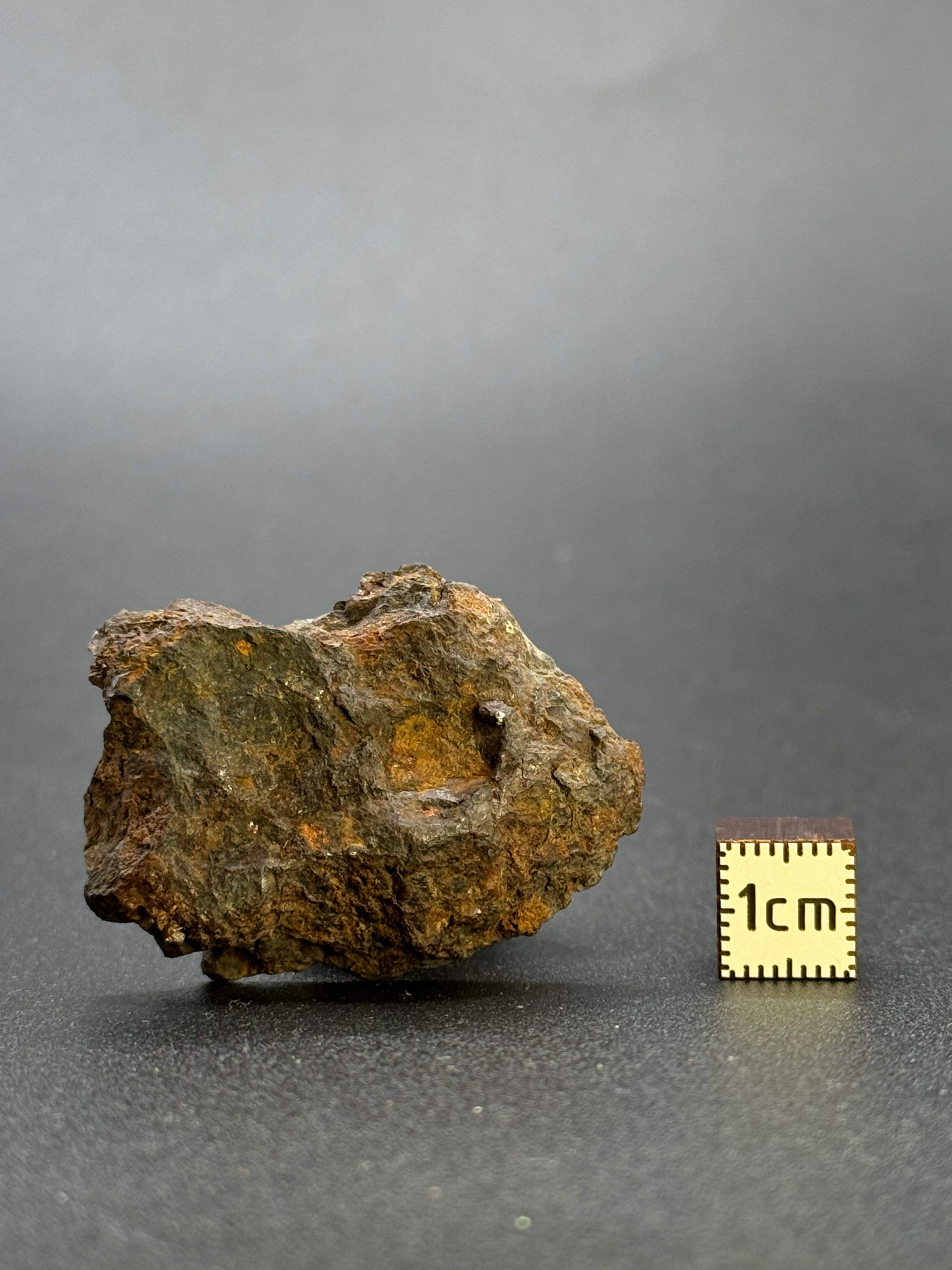 SERICHO PALLASITE METEORITE, KENYA. 24,94 GRAMS END-CUT