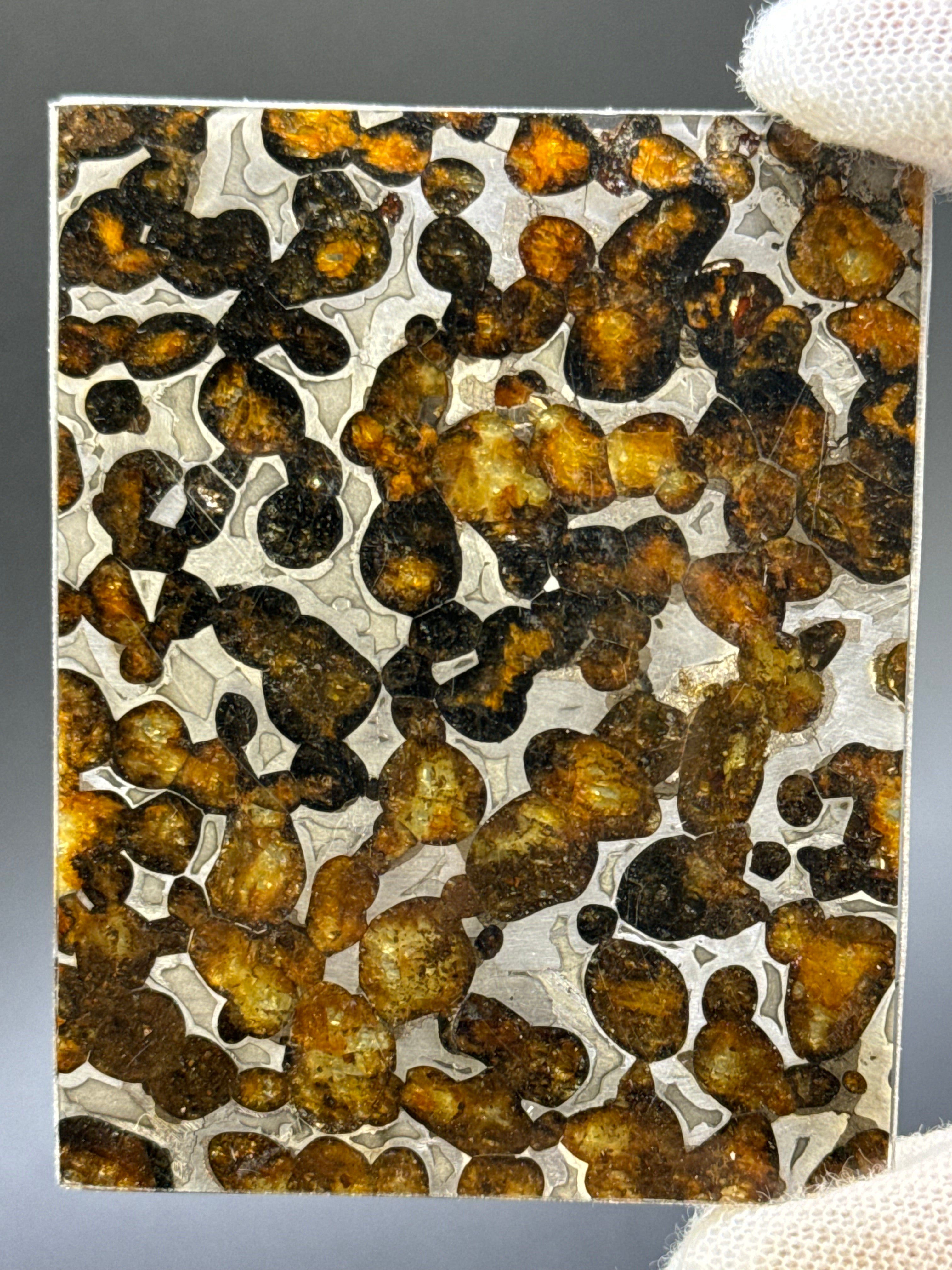 SERICHO METEORITE, KENYA. 26,10 GRAMS.