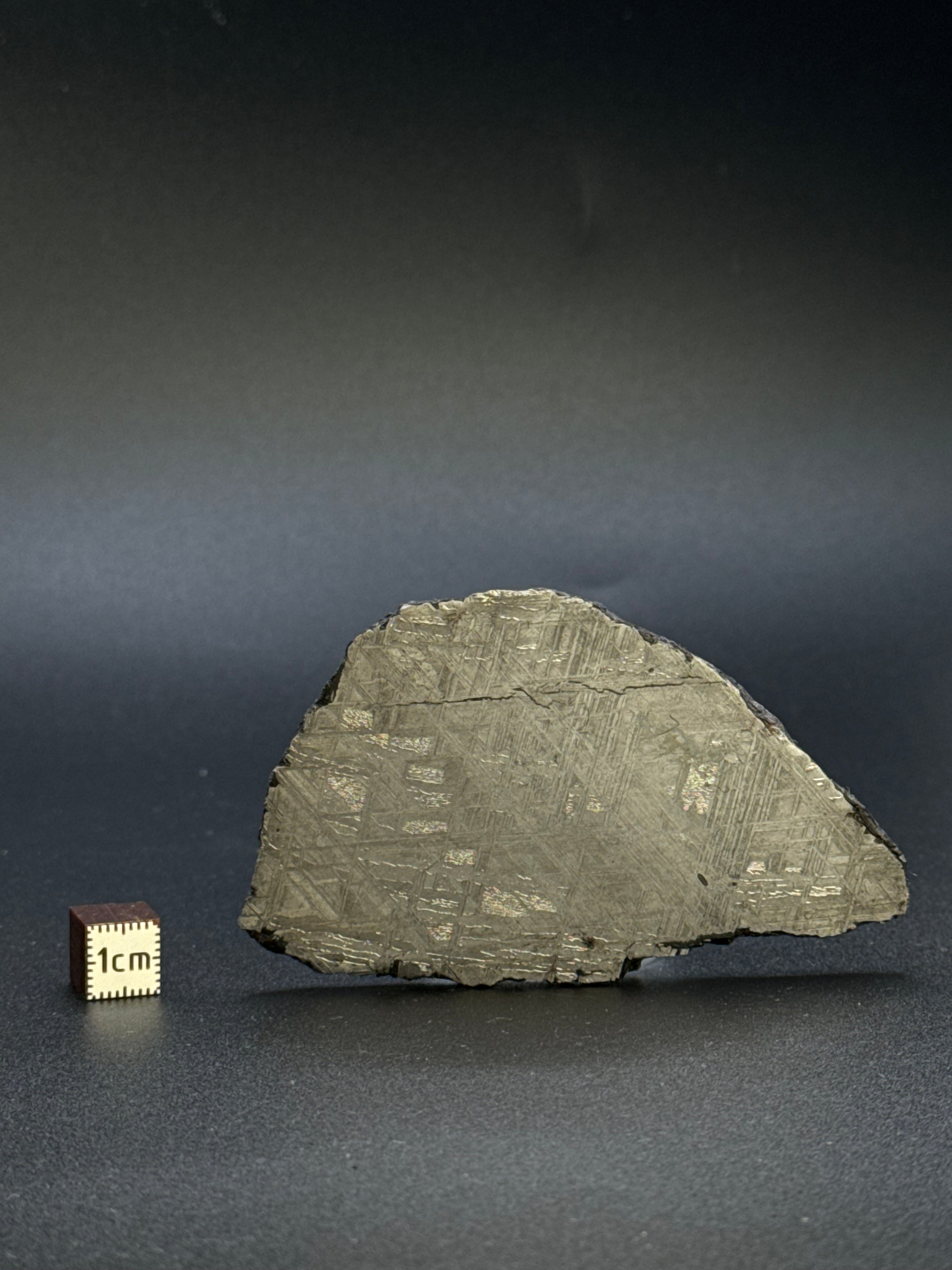 MUONIONALUSTA METEORITE, SWEDEN. 98,30 GRAMS.