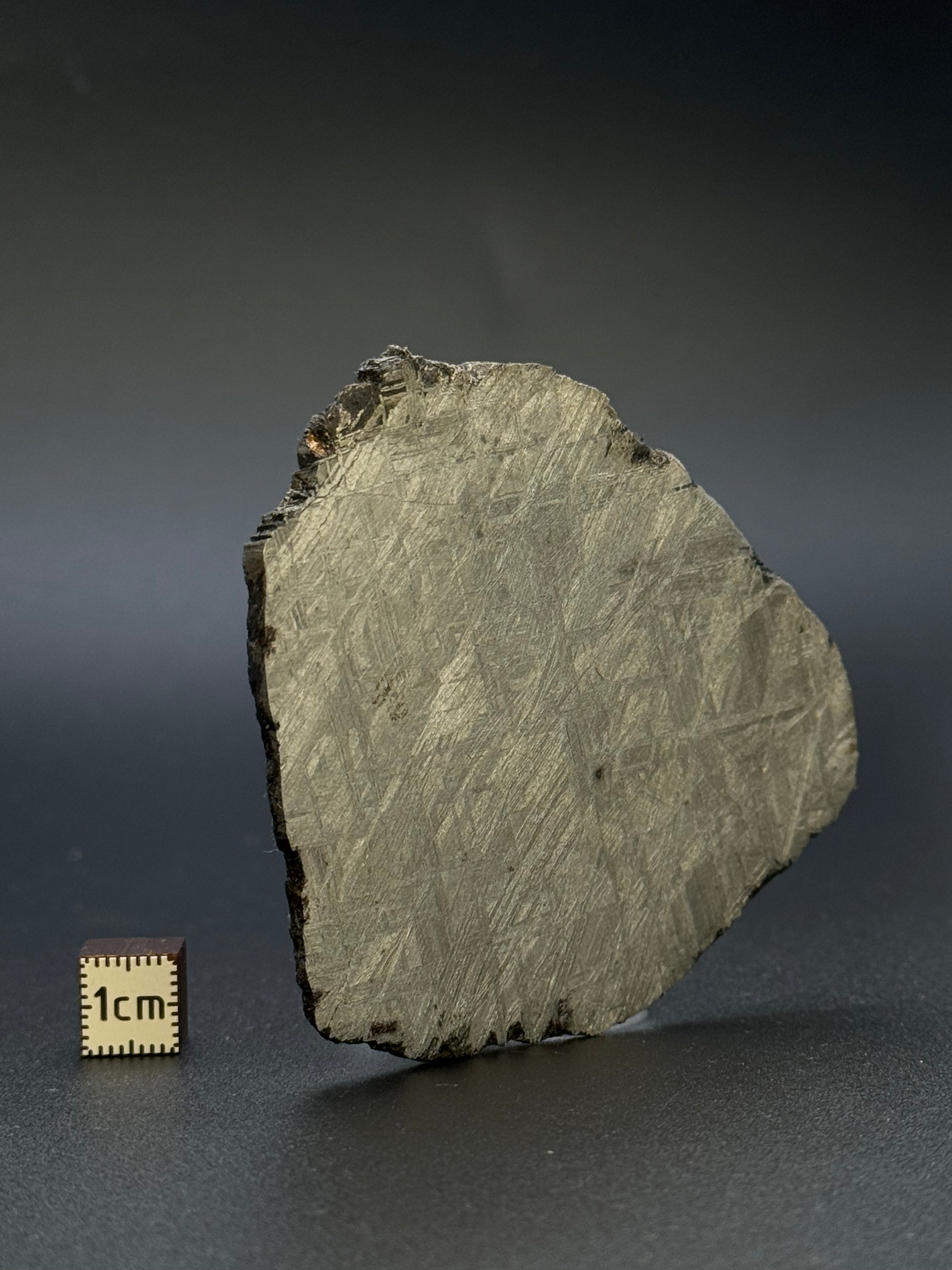 MUONIONALUSTA METEORITE, SWEDEN. 92,42 GRAMS.