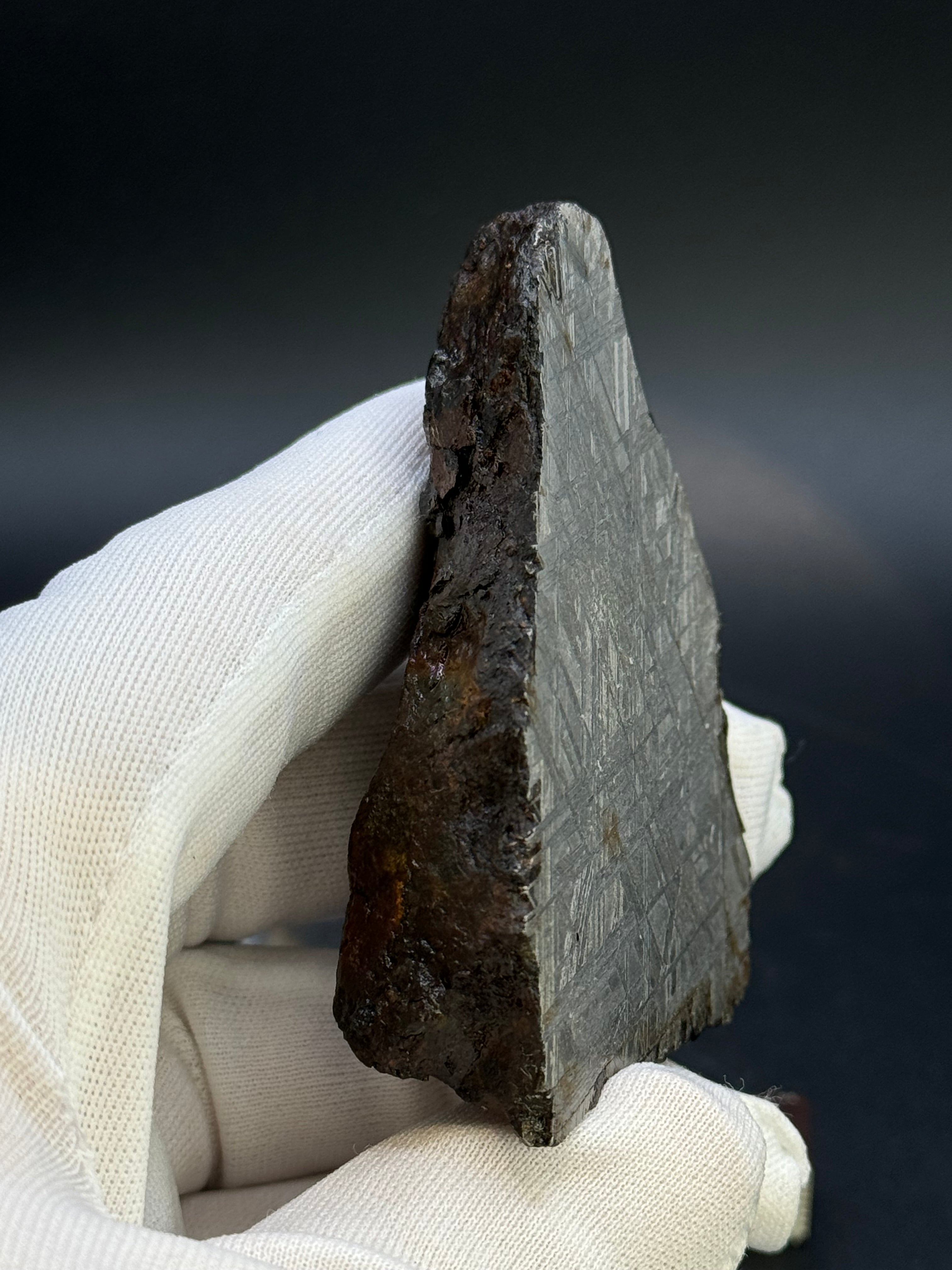 MUONIONALUSTA METEORITE, SWEDEN. 226 GRAMS END-CUT.