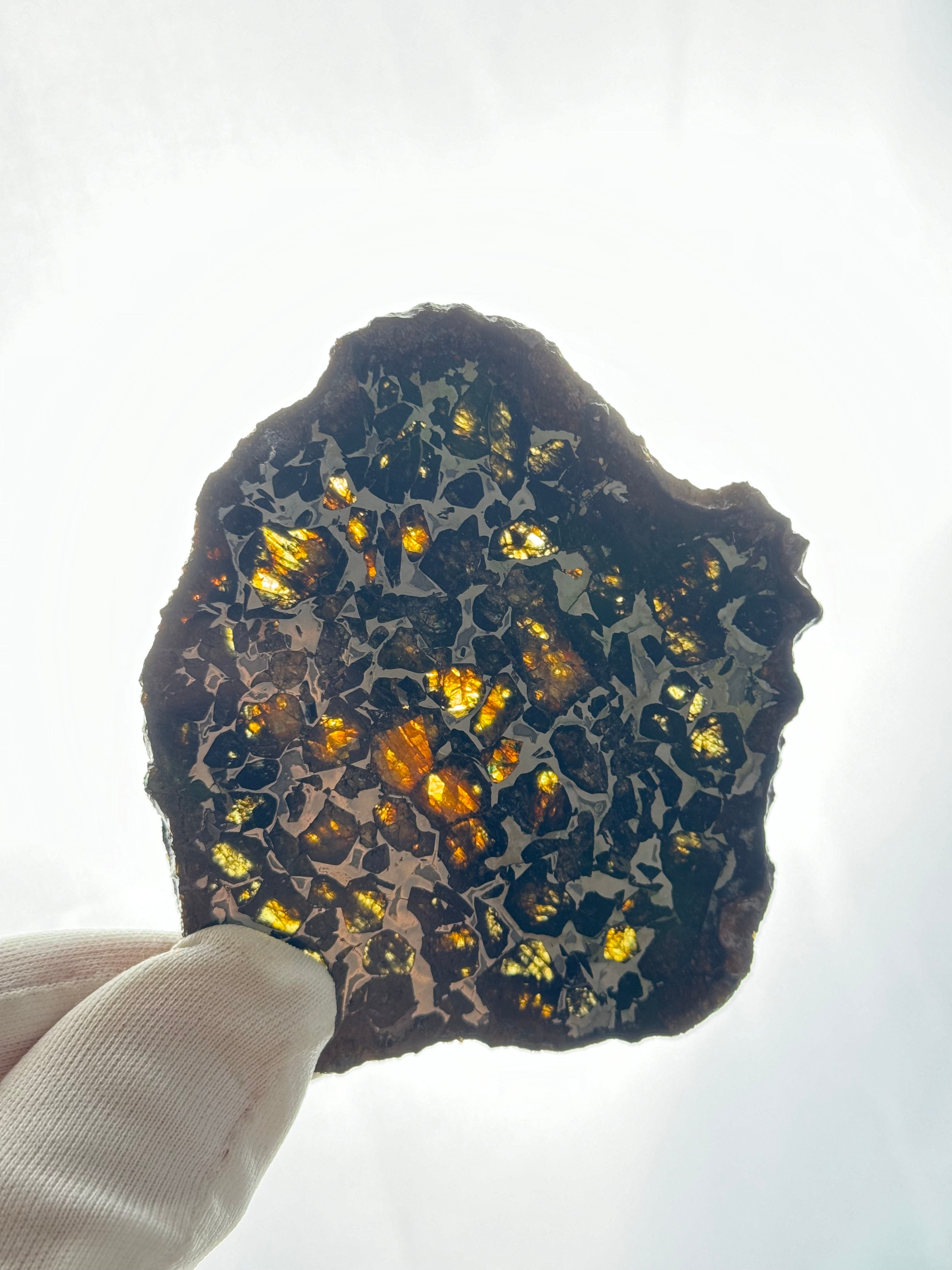 SEYMCHAN METEORITE, MAGADAN REGION, RUSSIA. 36,6 GRAMS SLICE.