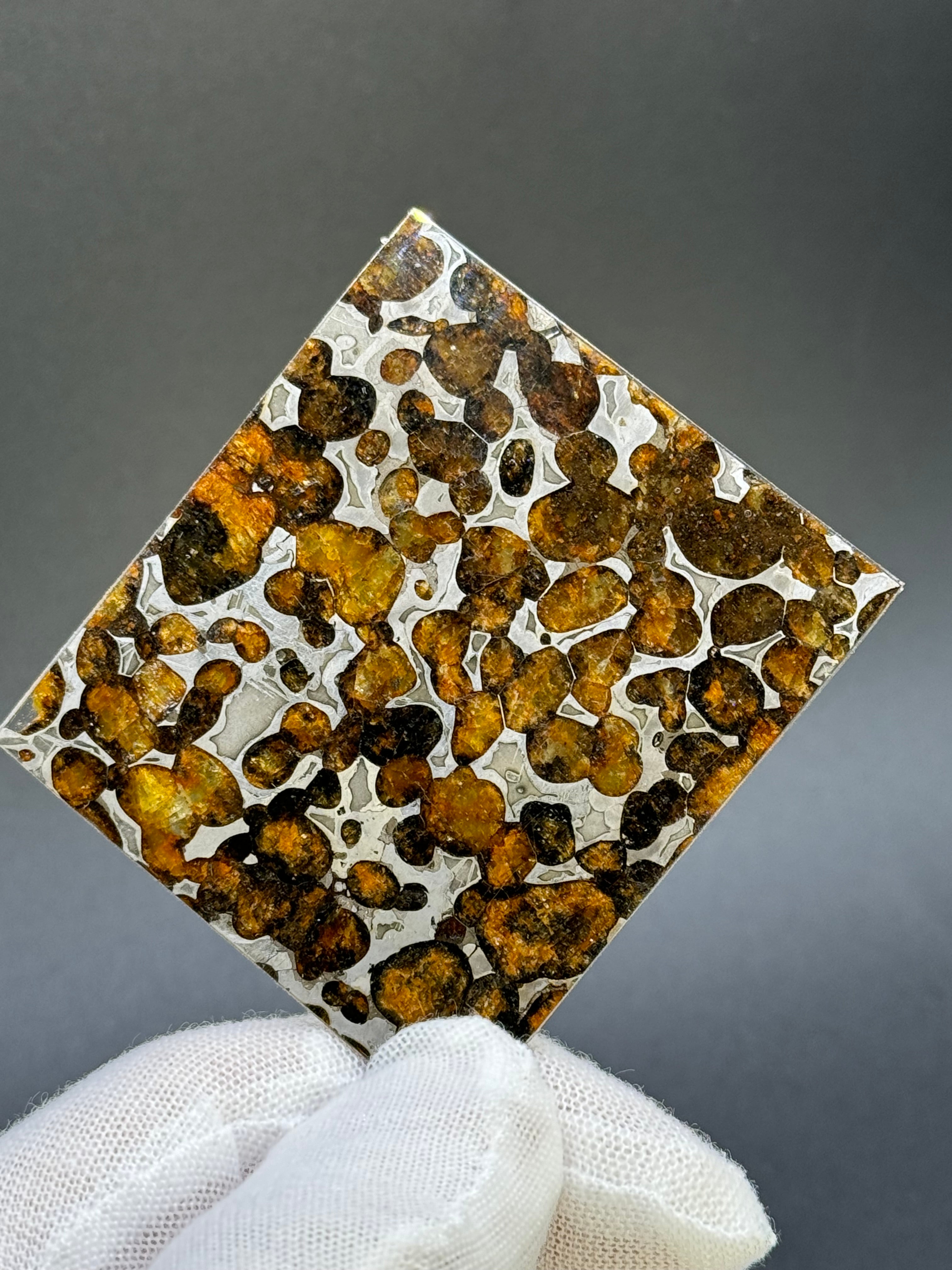 SERICHO METEORITE, KENYA. 22,24 GRAMS SLICE