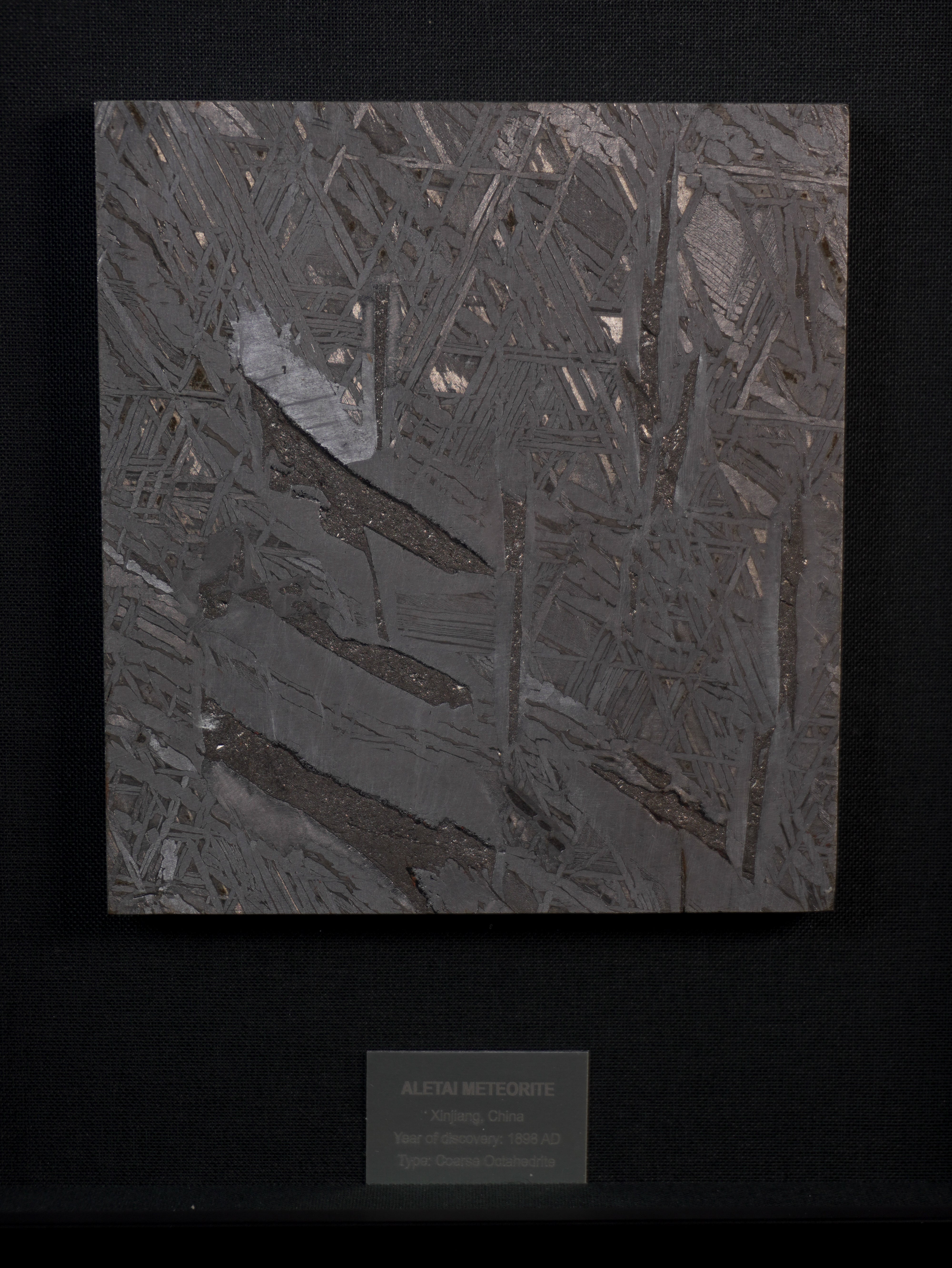 Aletai Meteorite Framed slice – 410 g
