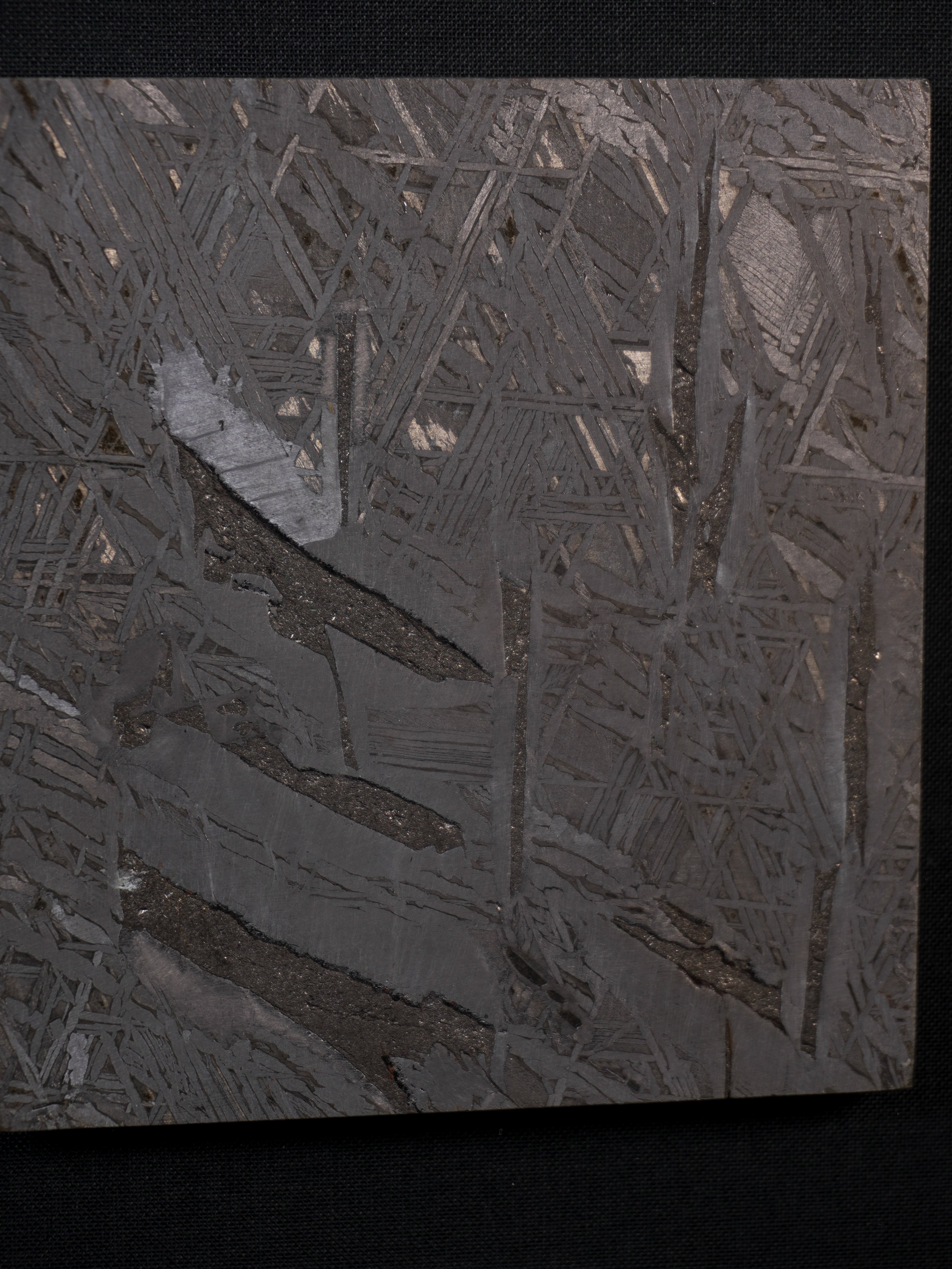 Aletai Meteorite Framed slice – 410 g