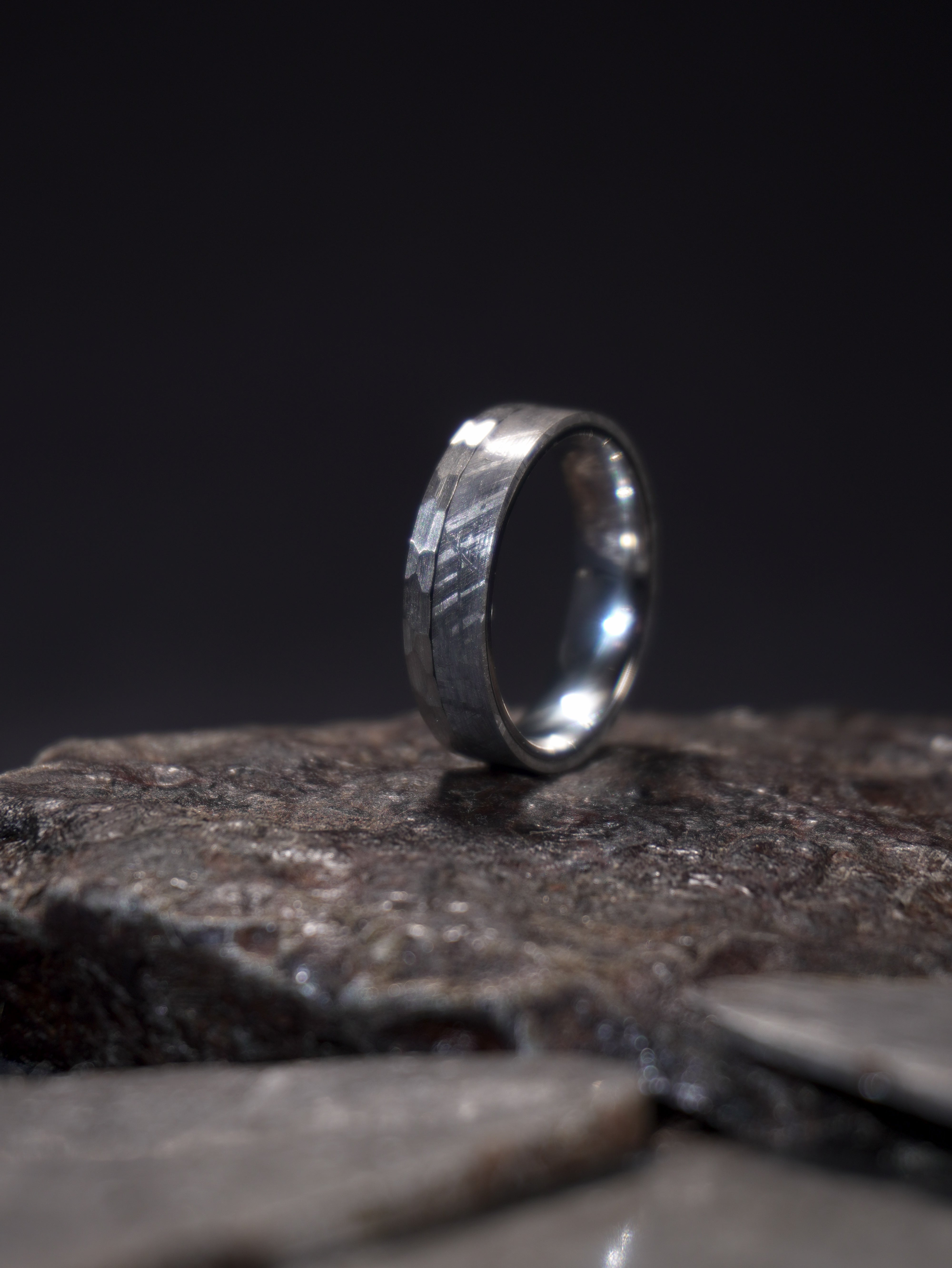 Andromeda - Muonionalusta Meteorite & Stainless Steel