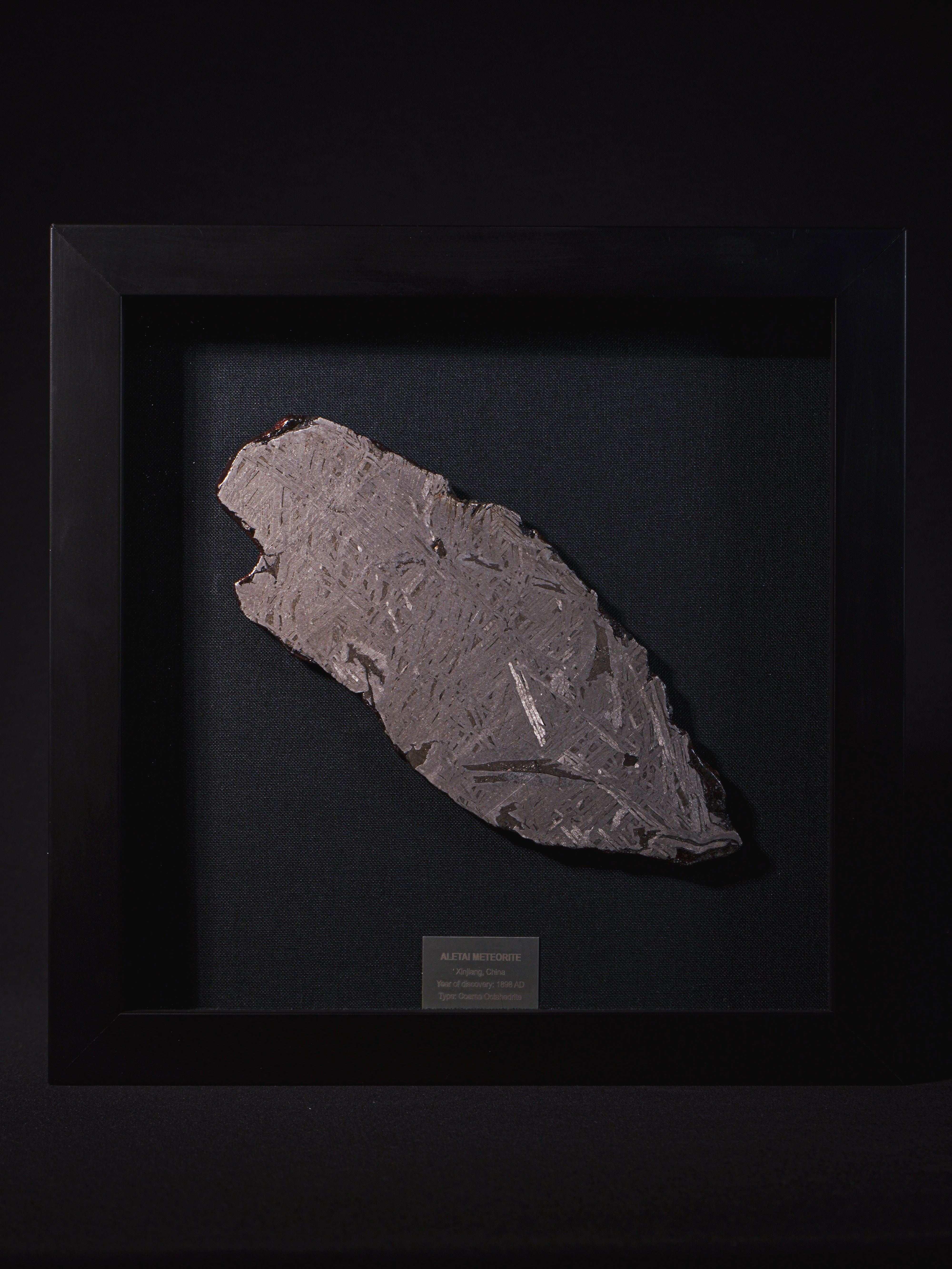 Aletai meteorite framed slice with crust - 313g