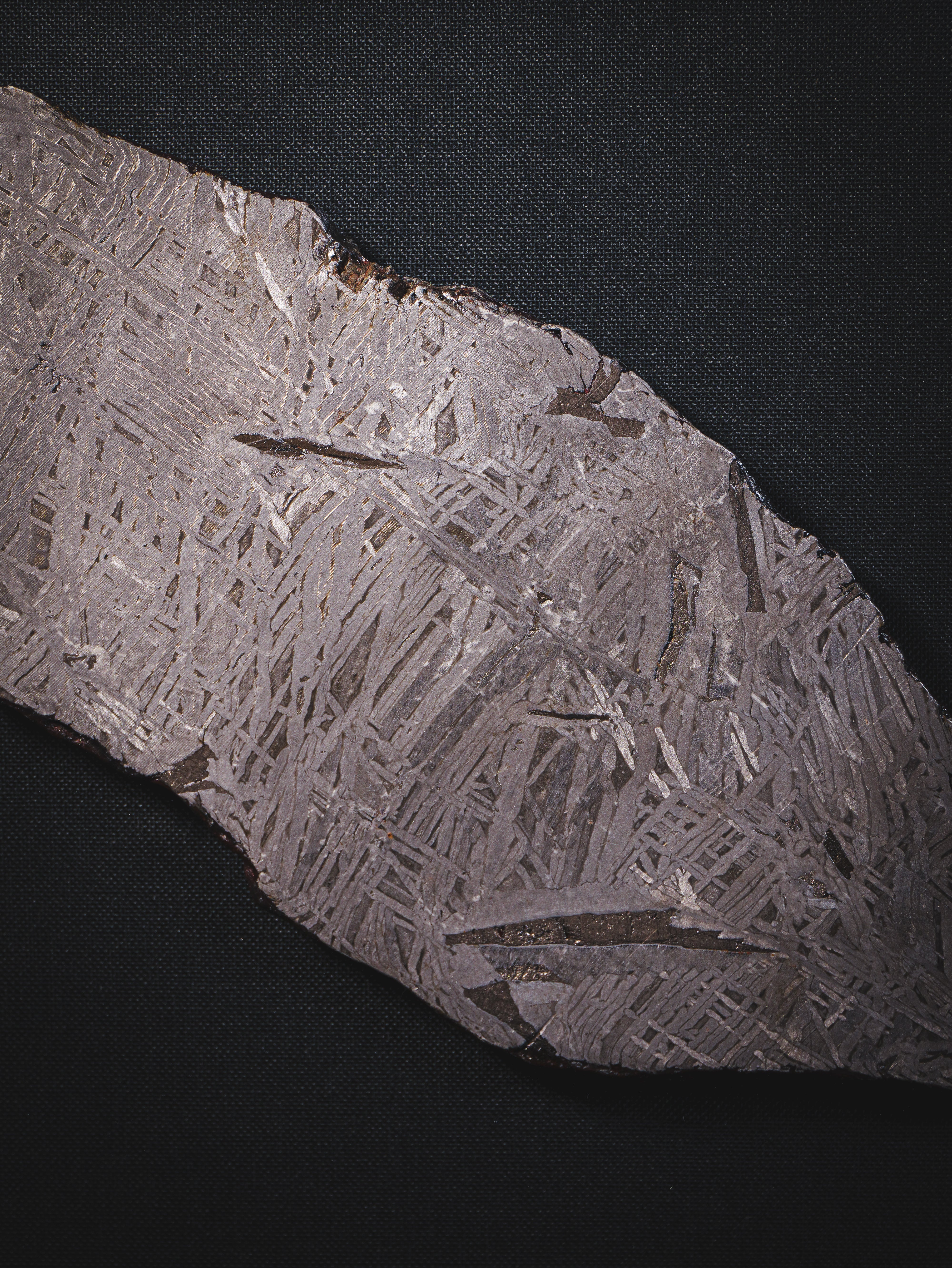 Aletai meteorite framed slice with crust - 300g