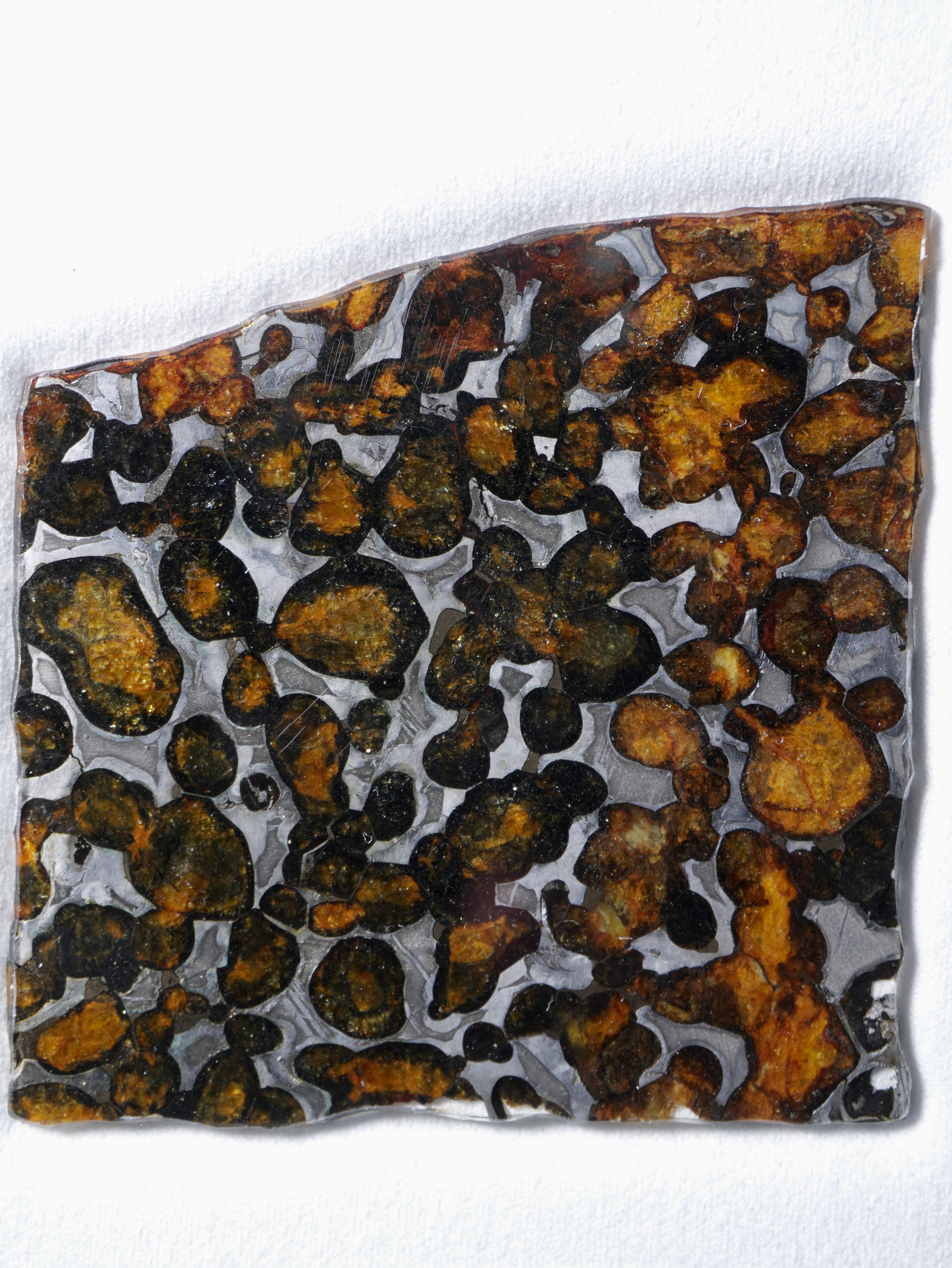 Sericho meteorite, Kenya. 27.5 grams.