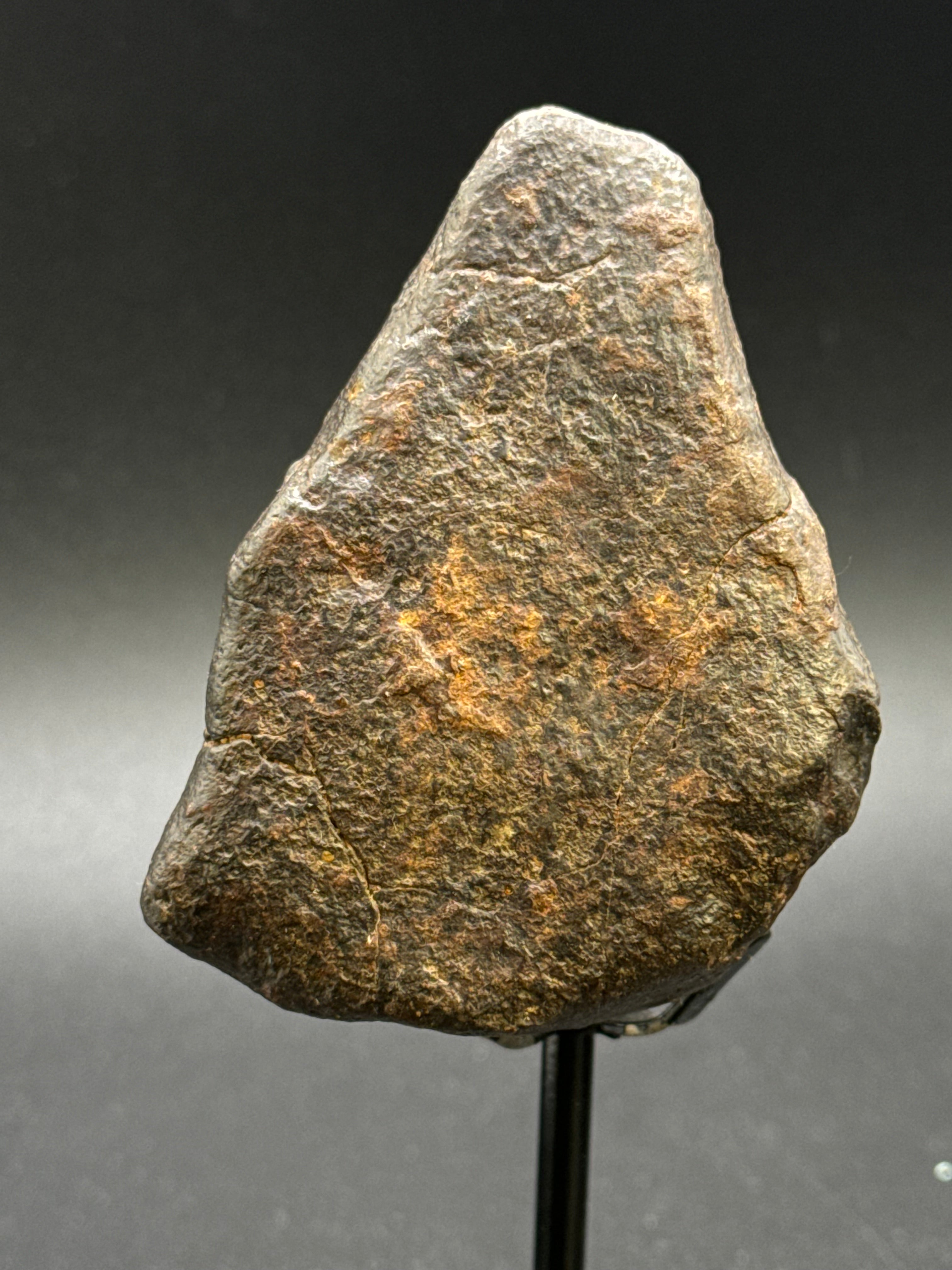CHONDRITE METEORITE, NORTH WEST AFRICA. 310 GRAMS.