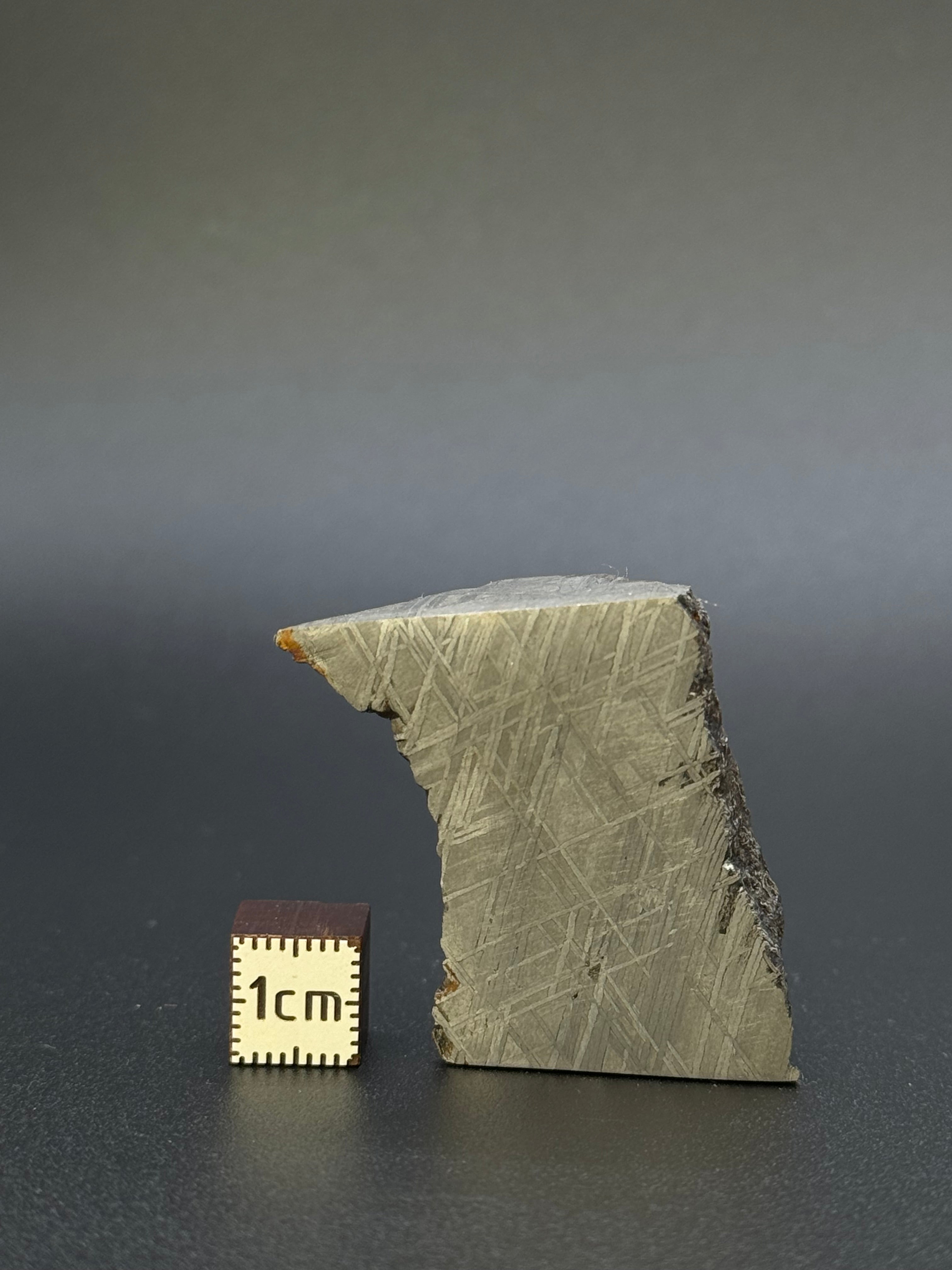 MUONIONALUSTA METEORITE, SWEDEN. 82,04 GRAMS CHUNK.