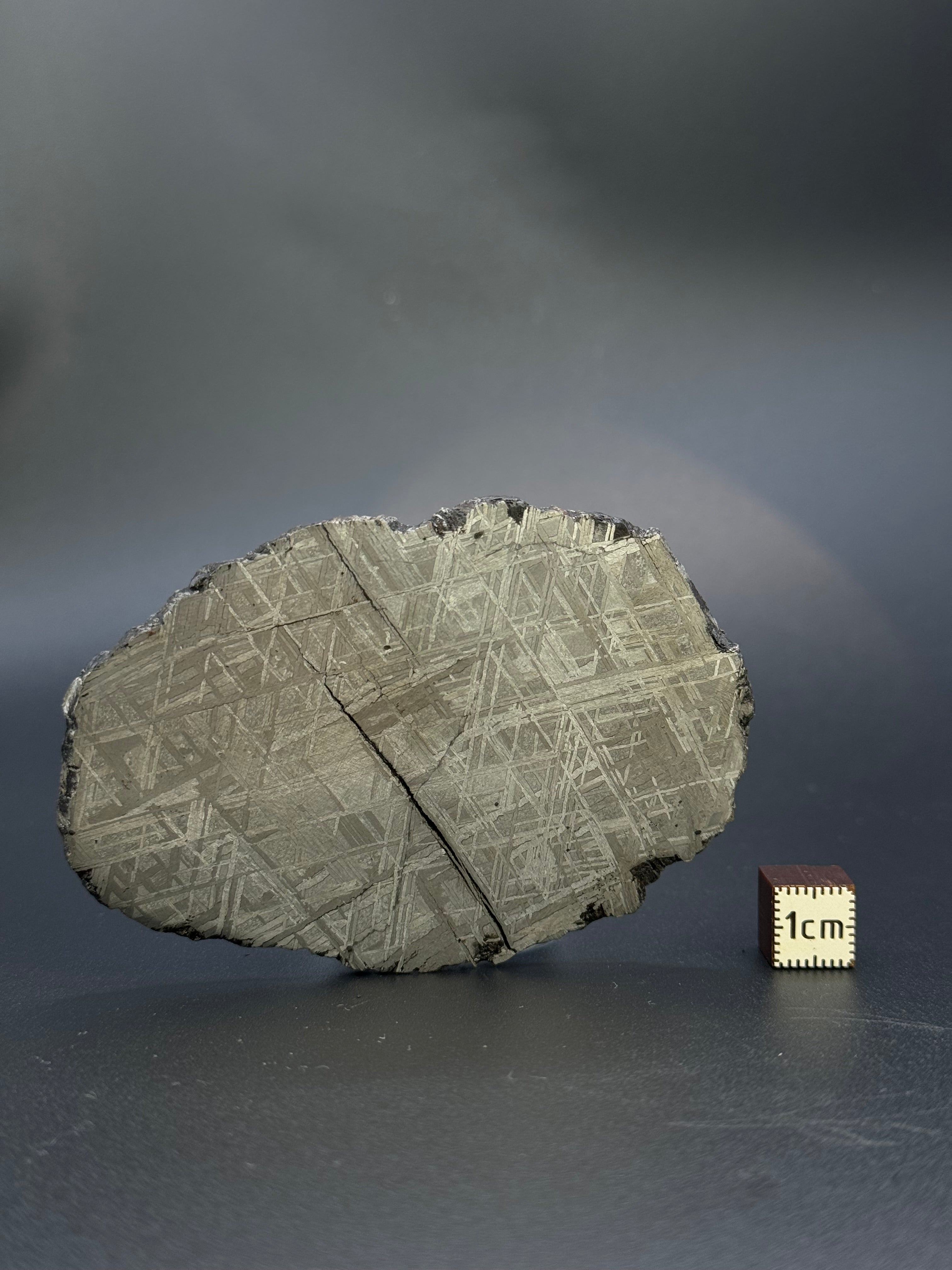 MUONIONALUSTA METEORITE, SWEDEN. 86 GRAMS.