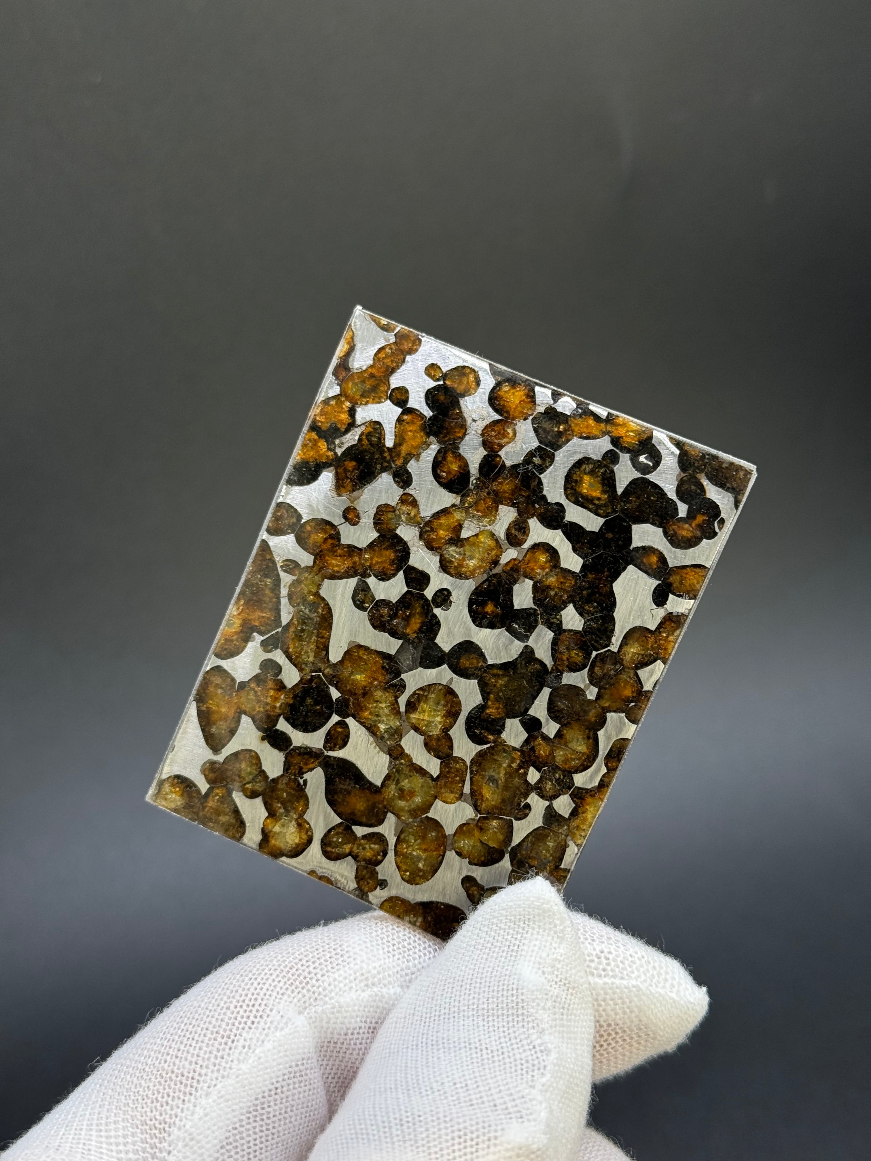 SERICHO METEORITE, KENYA. 26,10 GRAMS SLICE