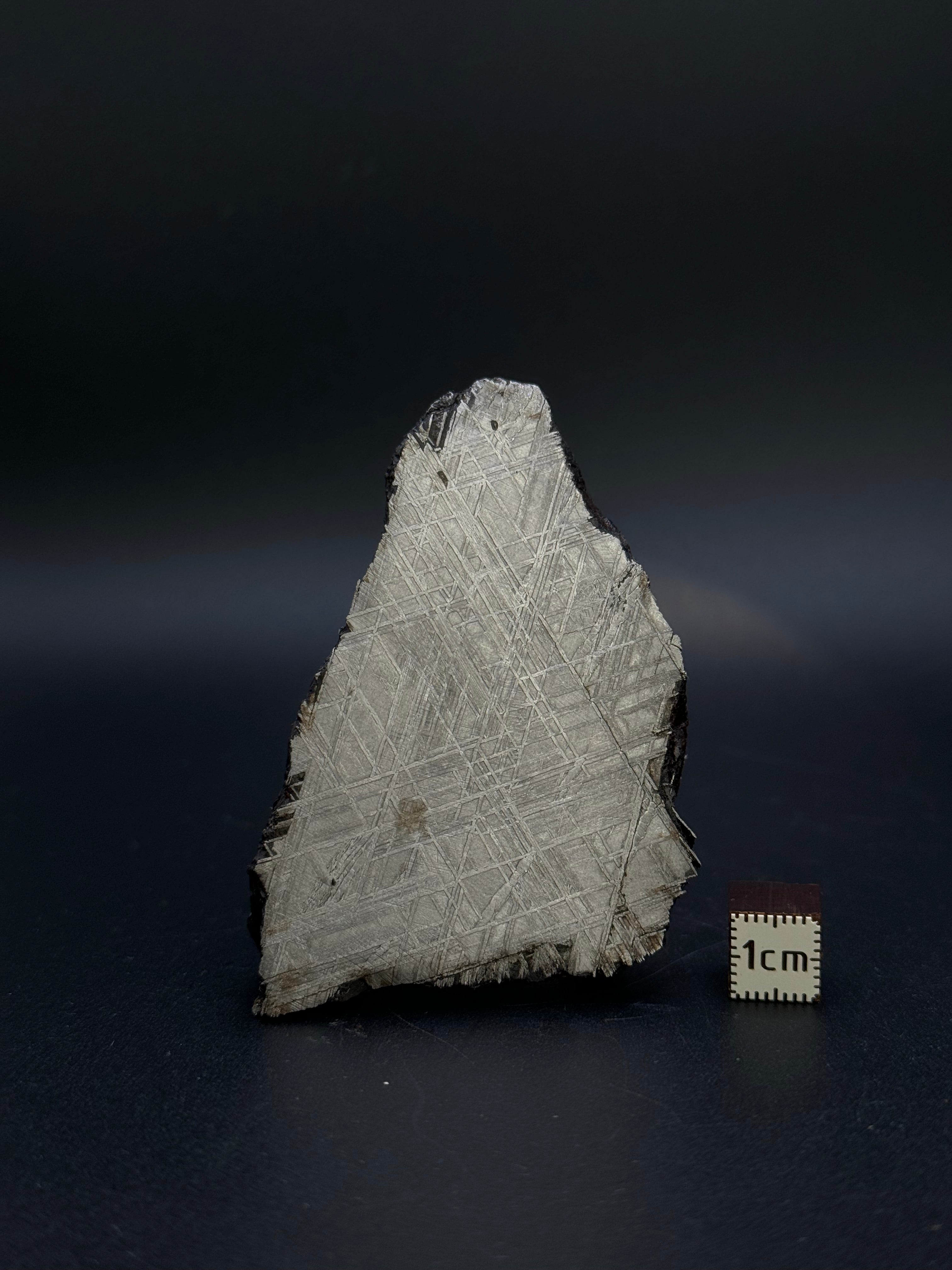 MUONIONALUSTA METEORITE, SWEDEN. 226 GRAMS END-CUT.
