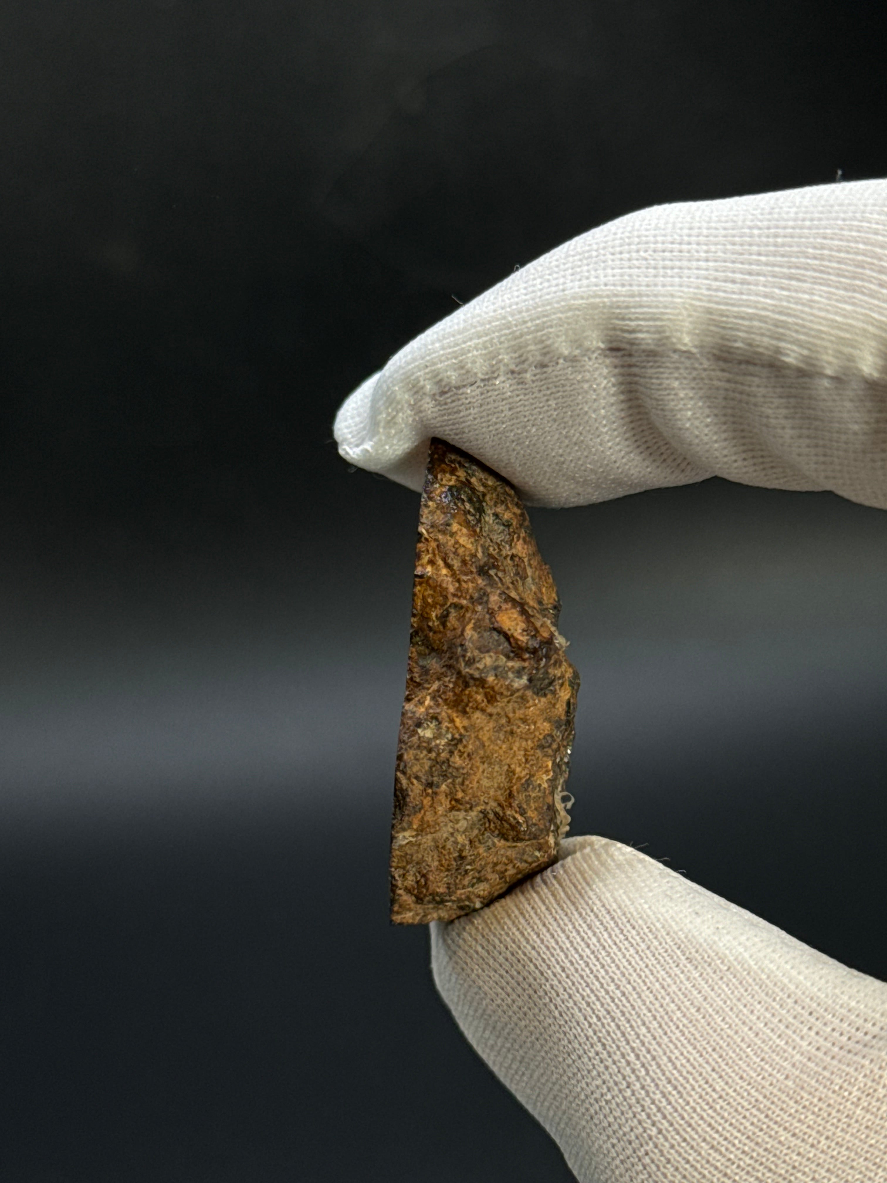 SERICHO PALLASITE METEORITE, KENYA. 21,79 GRAMS END-CUT