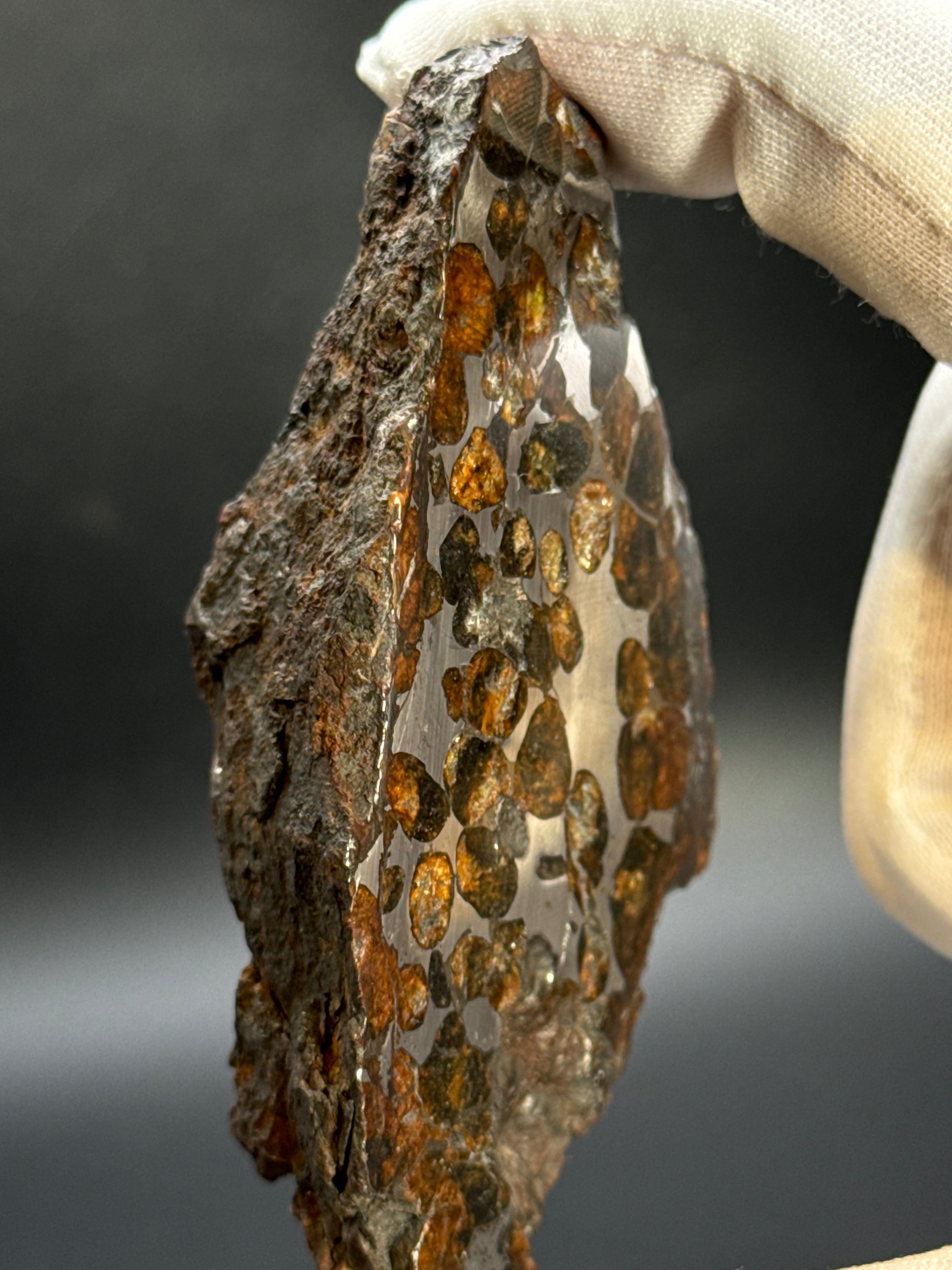 Sericho pallasite meteorite, Kenya. 180,4 grams end-cut.