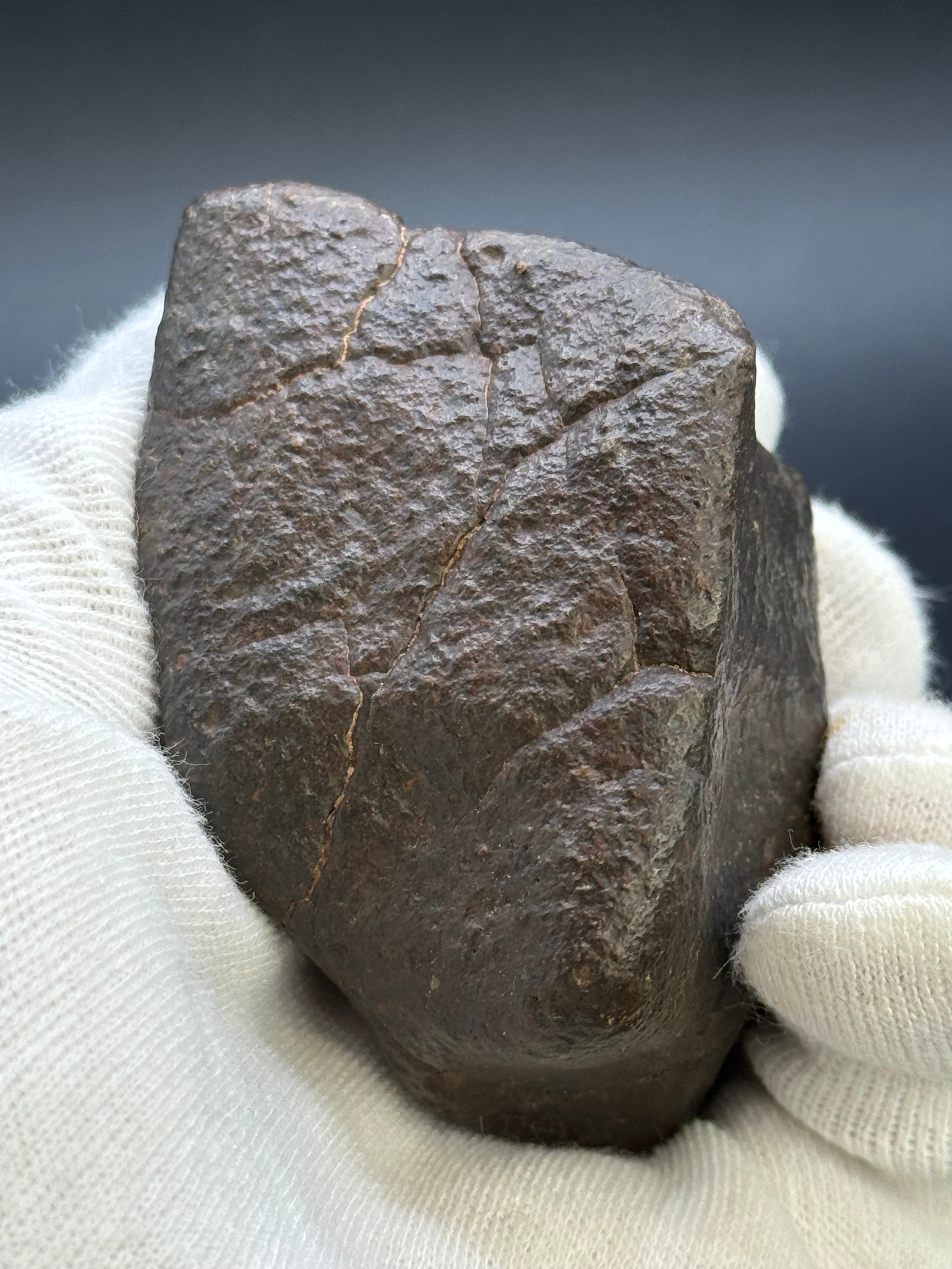 CHONDRITE METEORITE, NORTH WEST AFRICA. 306 GRAMS.