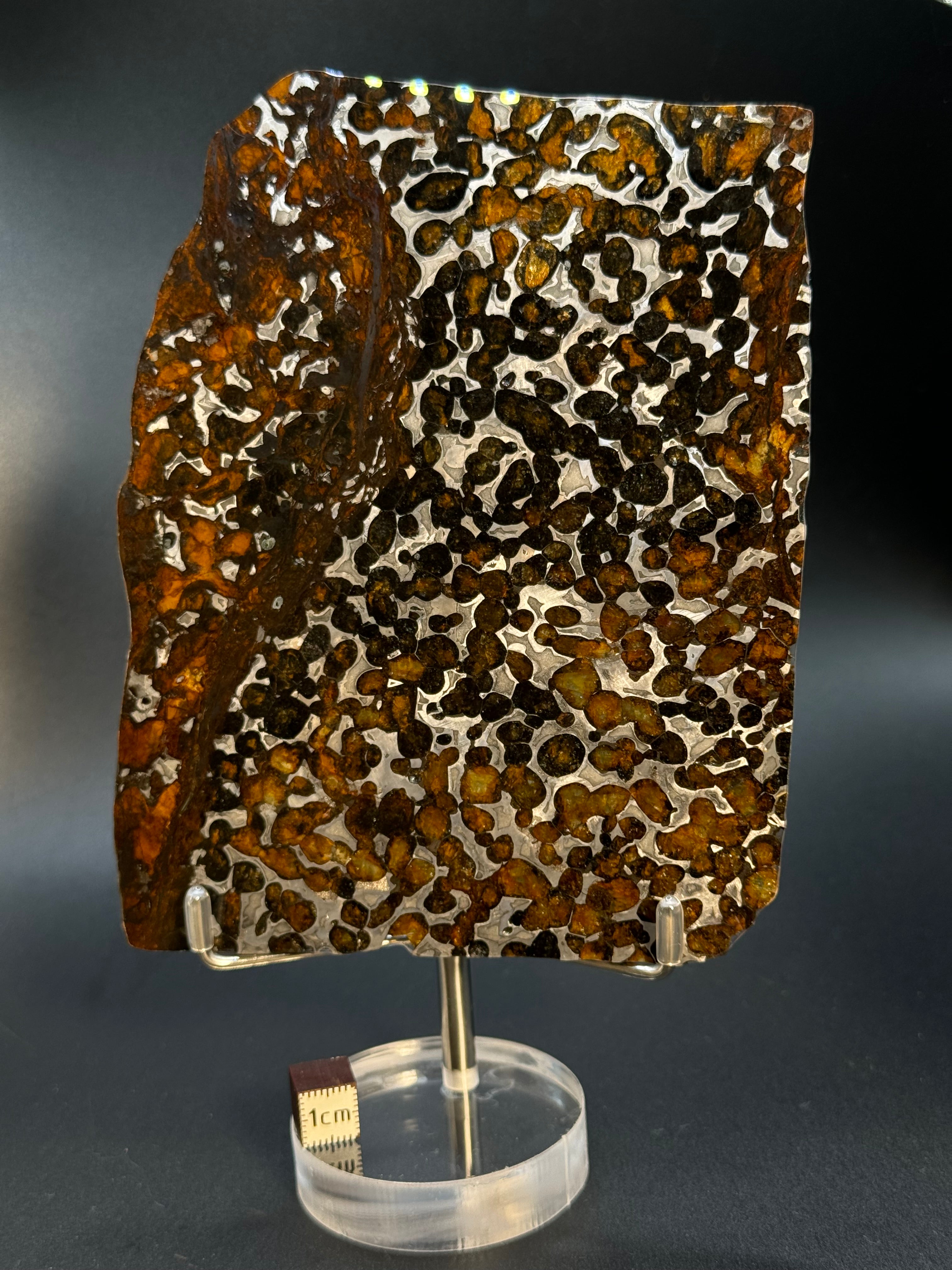 SERICHO METEORITE, KENYA. 102 GRAMS SLICE