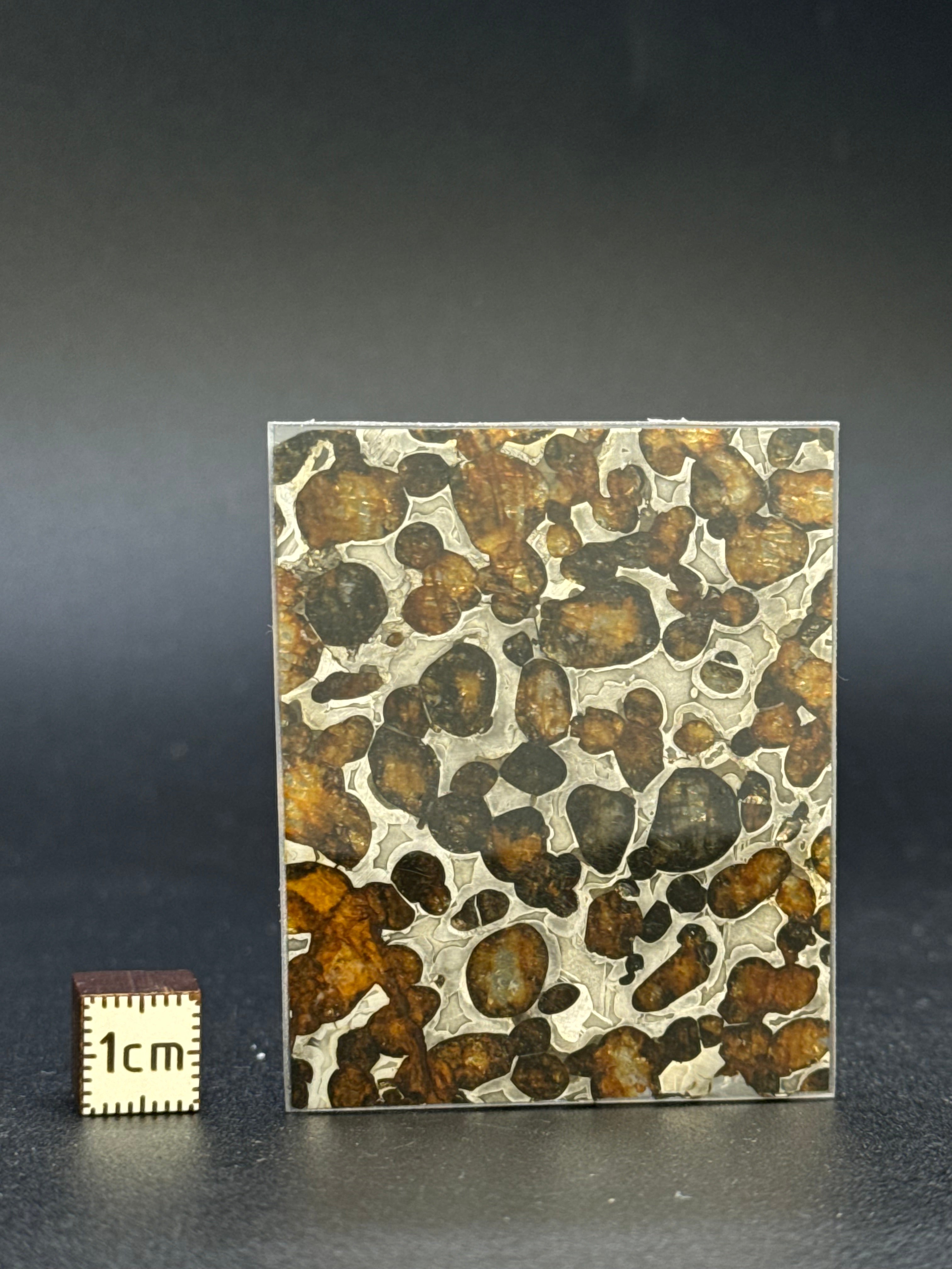 SERICHO METEORITE, KENYA. 13,5 GRAMS.