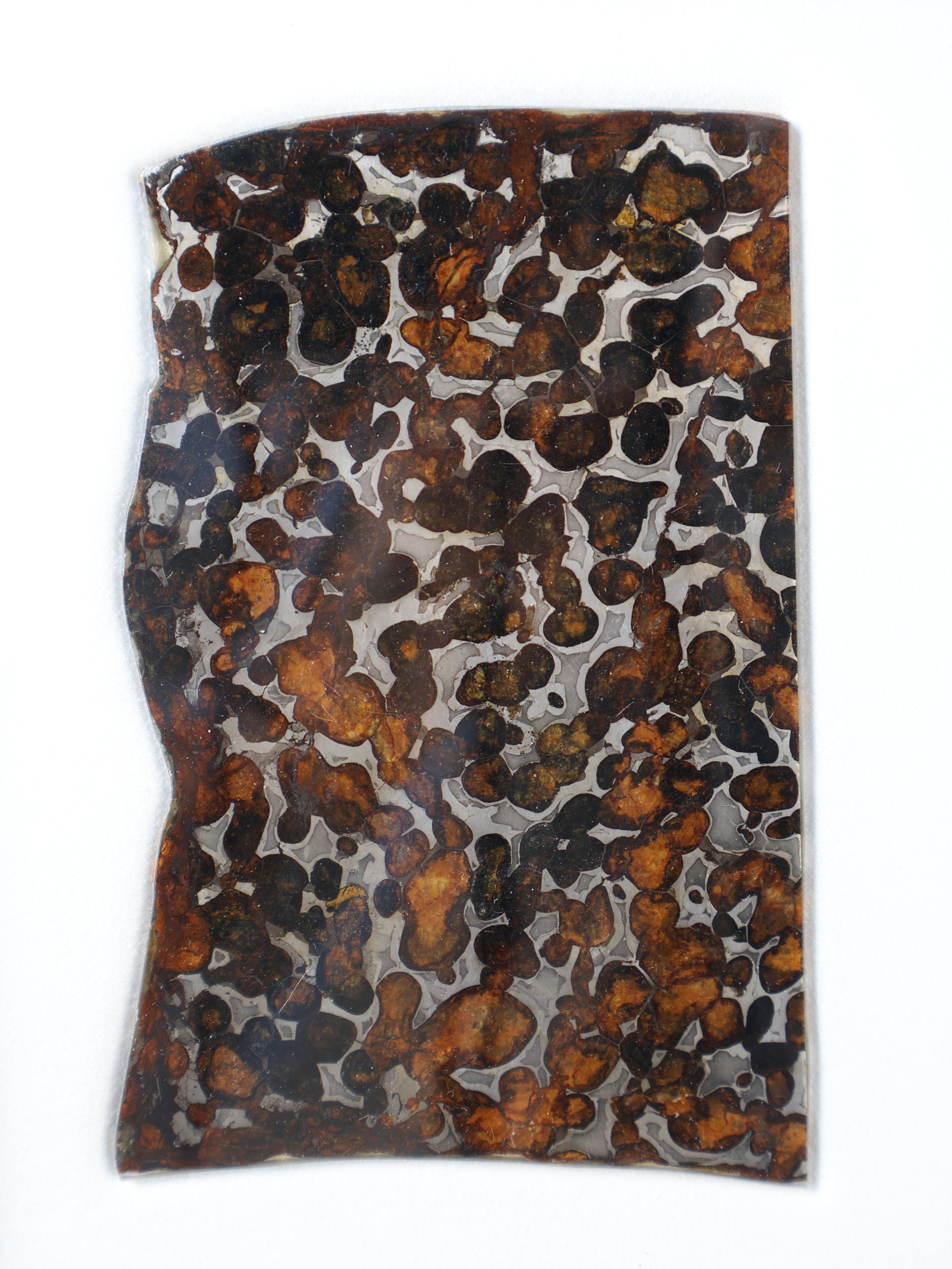 Sericho meteorite, Kenya. 59,46 grams.
