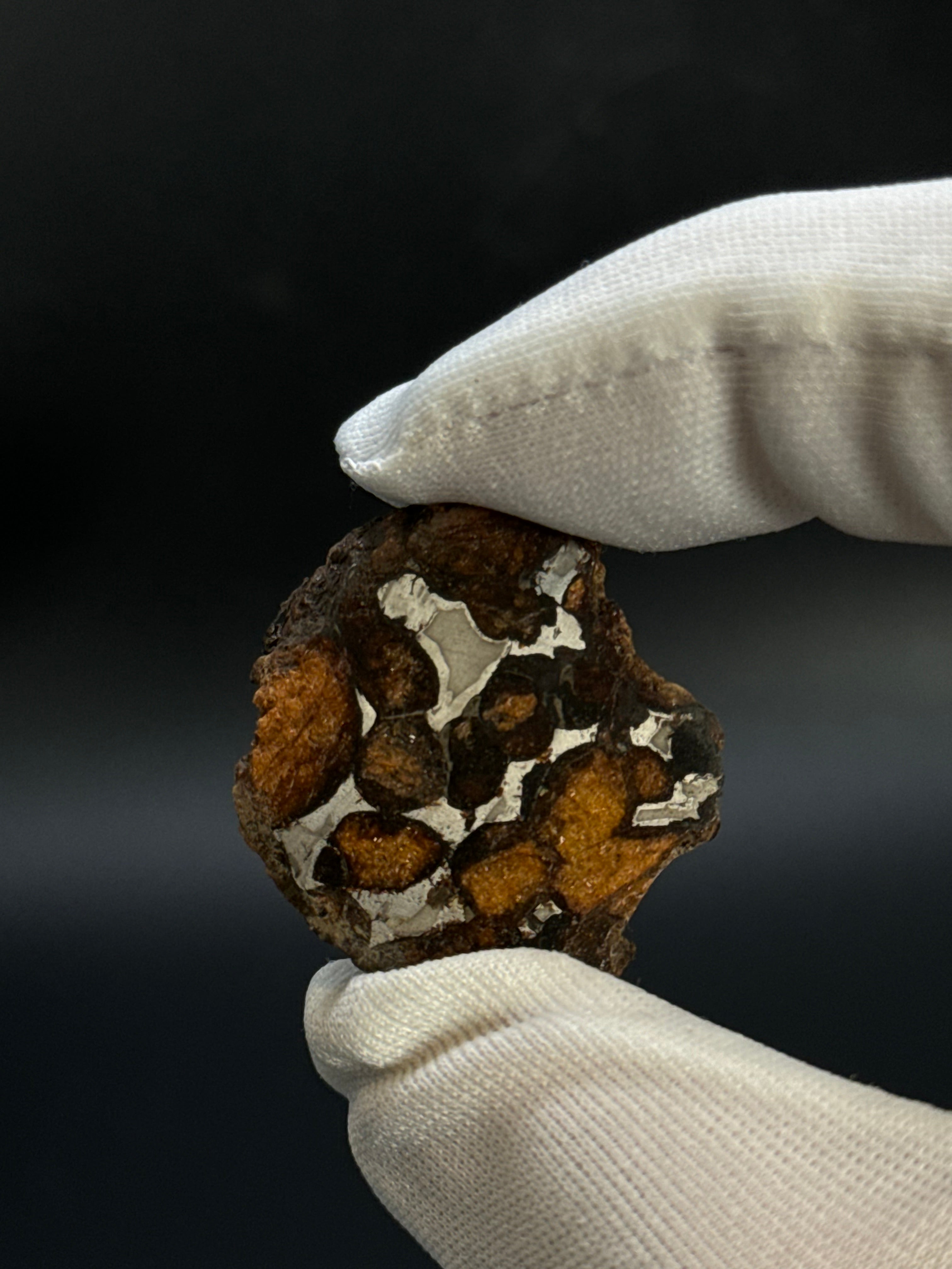 SERICHO PALLASITE METEORITE, KENYA. 17,83 GRAMS END-CUT