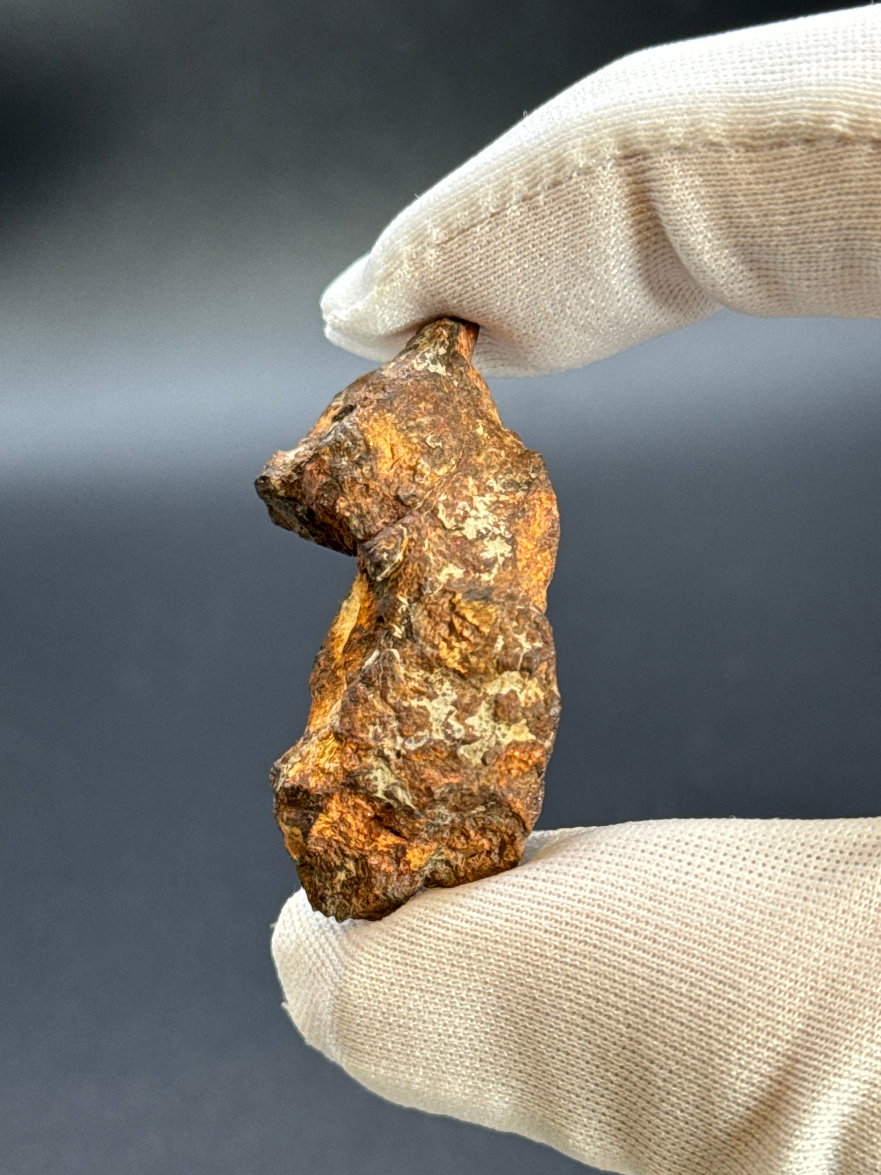 SERICHO PALLASITE METEORITE, KENYA. 15,07 GRAMS END-CUT