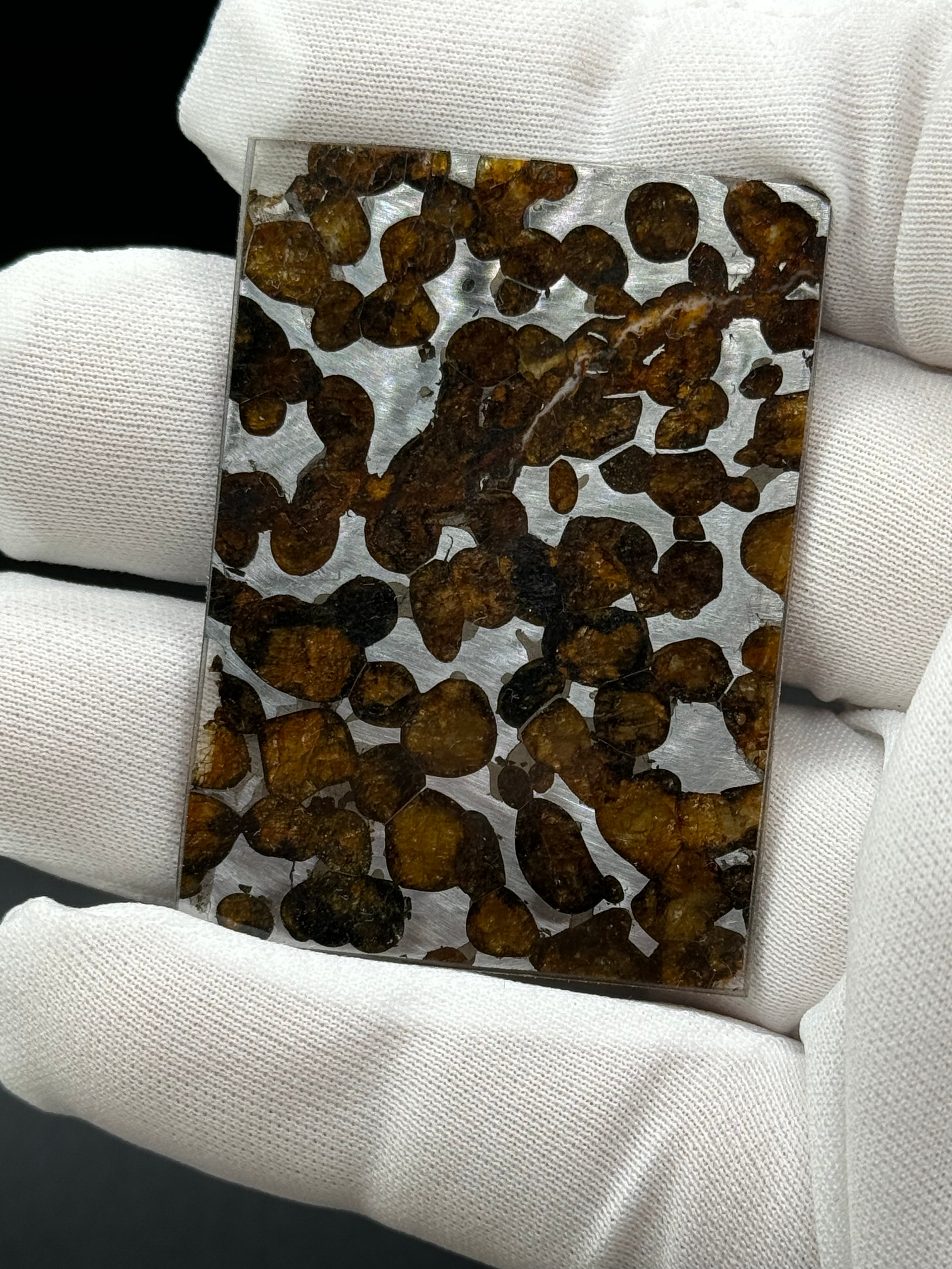 SERICHO METEORITE, KENYA. 10,36 GRAMS SLICE