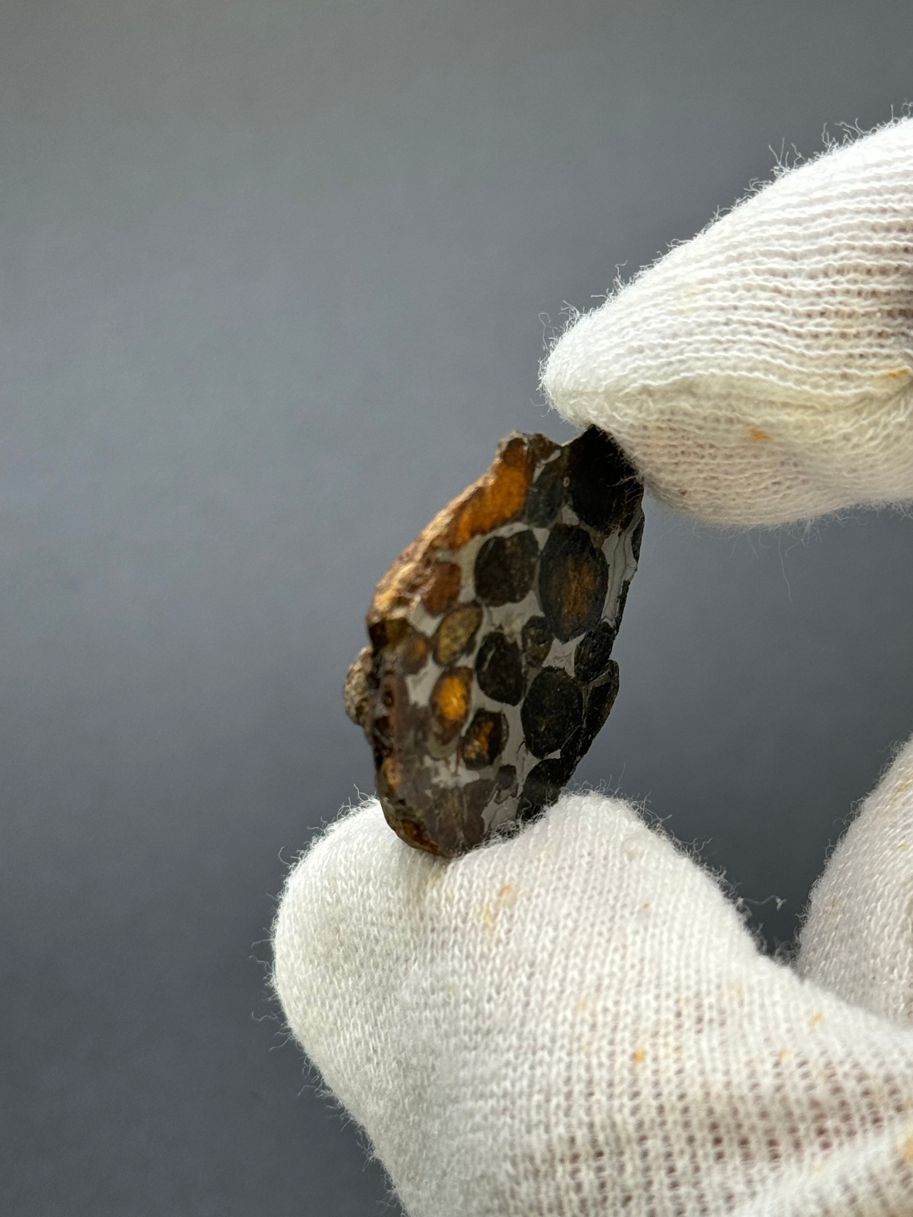 SERICHO PALLASITE METEORITE, KENYA. 12,21 GRAMS END-CUT