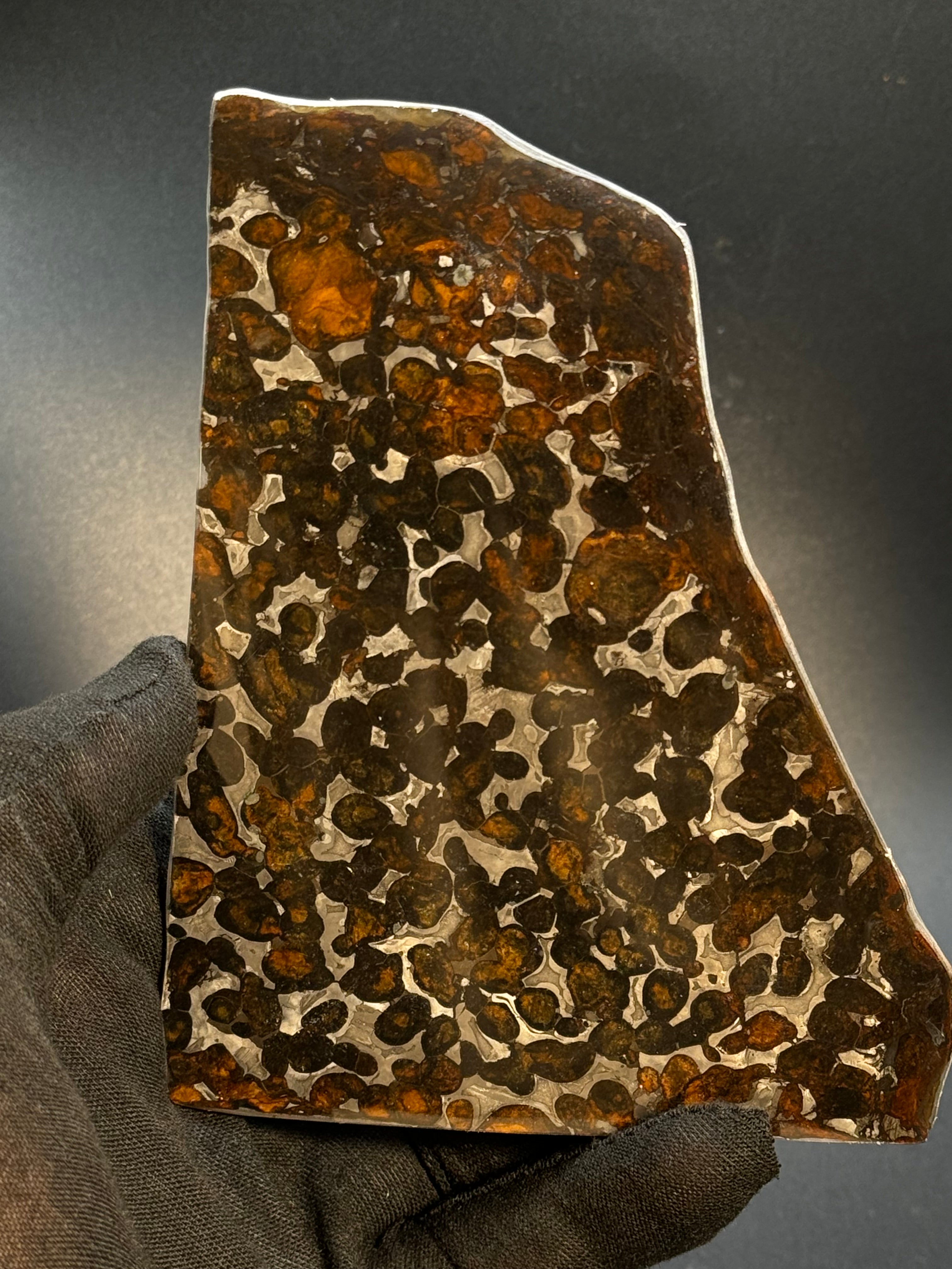 SERICHO METEORITE, KENYA. 65 GRAMS SLICE