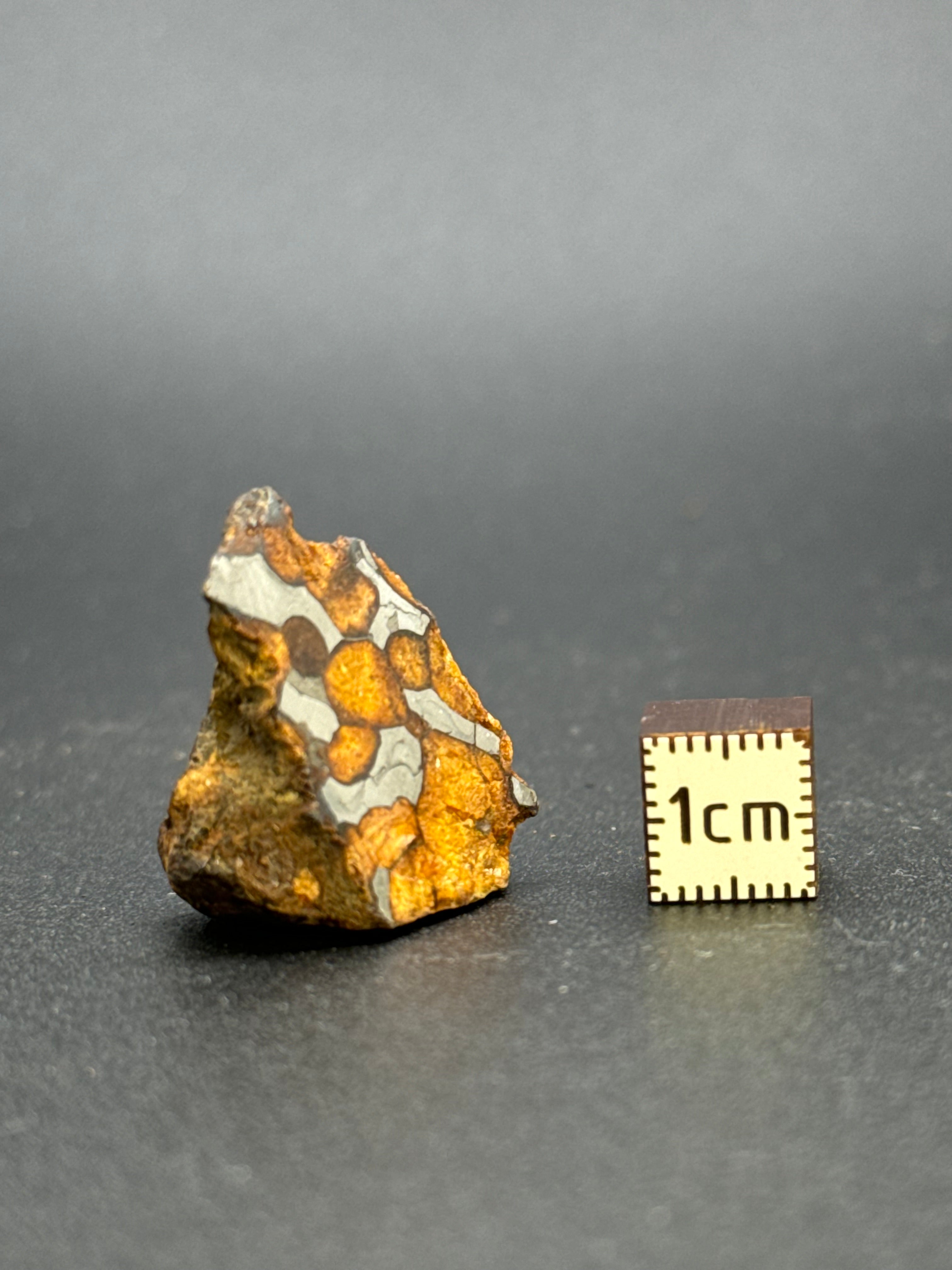 SERICHO PALLASITE METEORITE, KENYA. 14,8 GRAMS END-CUT.