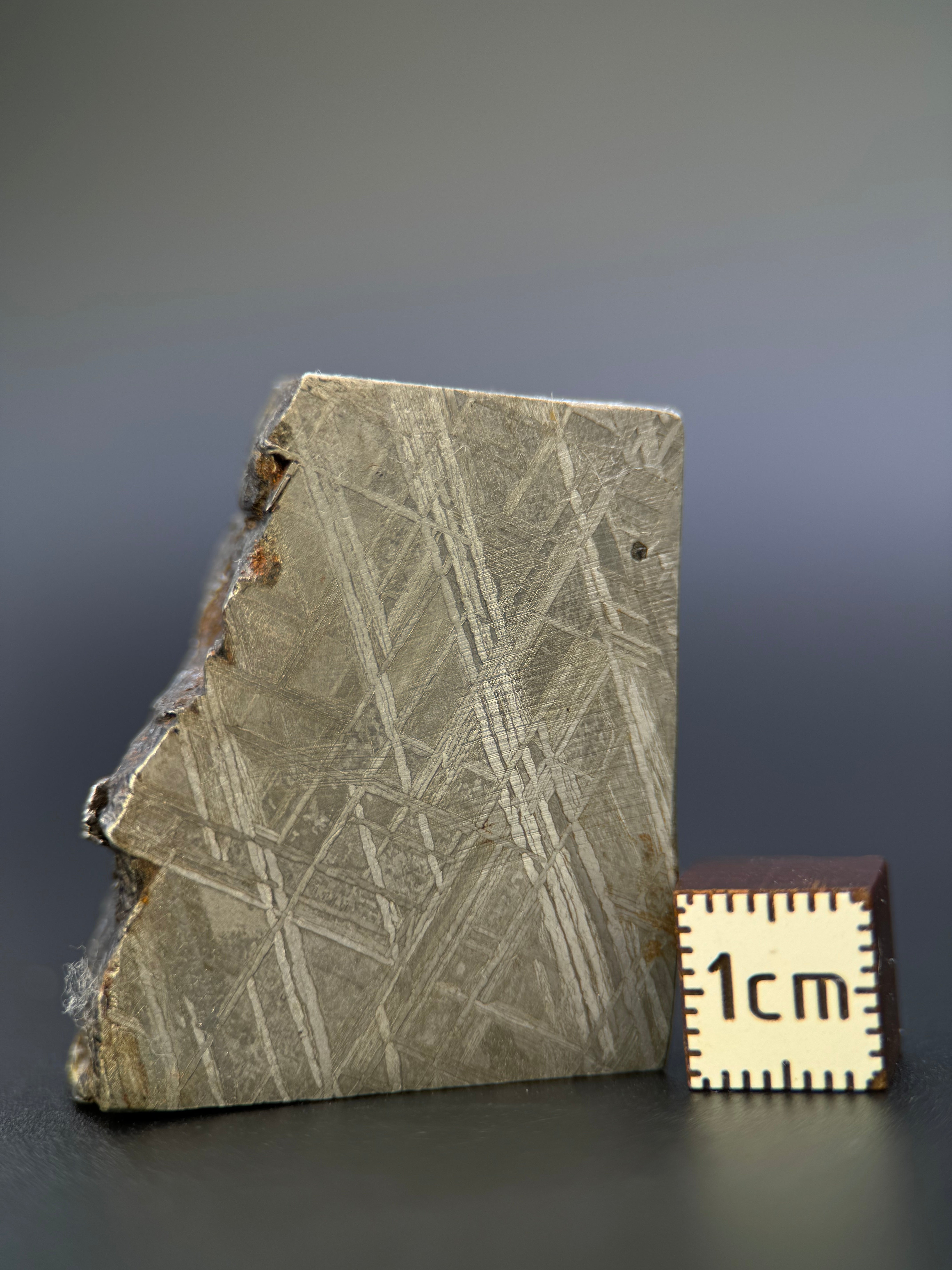 MUONIONALUSTA METEORITE, SWEDEN. 82,5 GRAMS END-CUT.