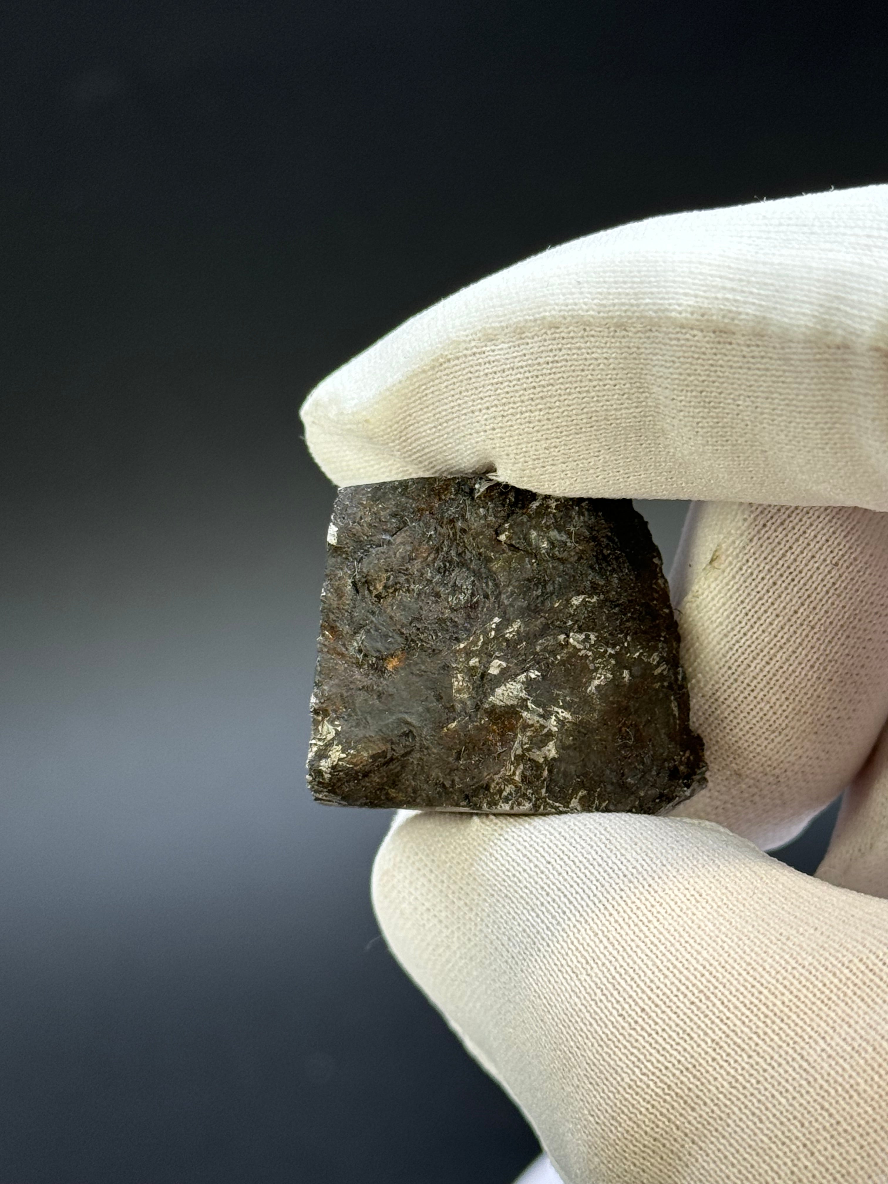 MUONIONALUSTA METEORITE, SWEDEN. DISPLAY BOX. 29,46 GRAMS.
