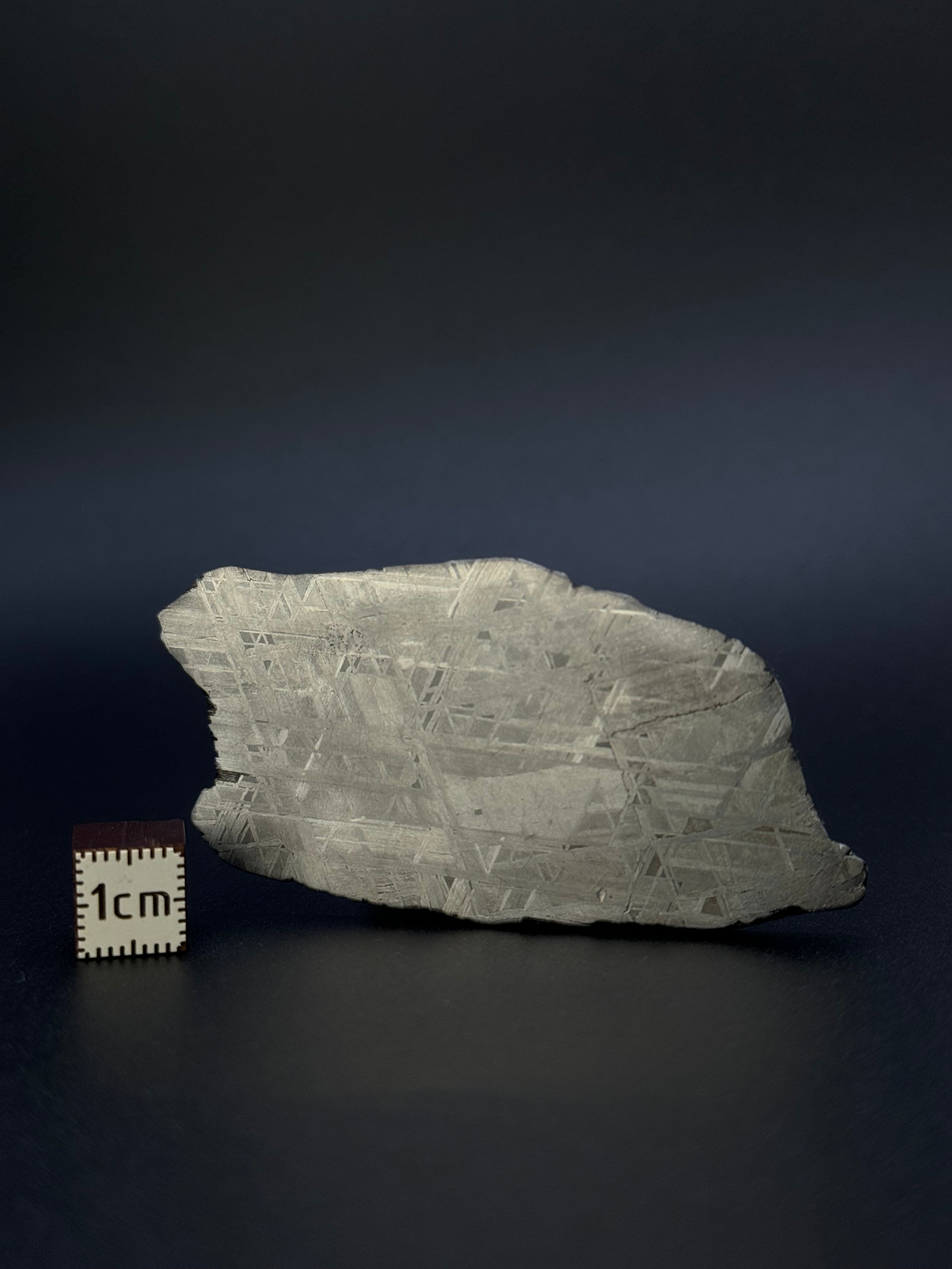 MUONIONALUSTA METEORITE, SWEDEN. 49,18 GRAMS.