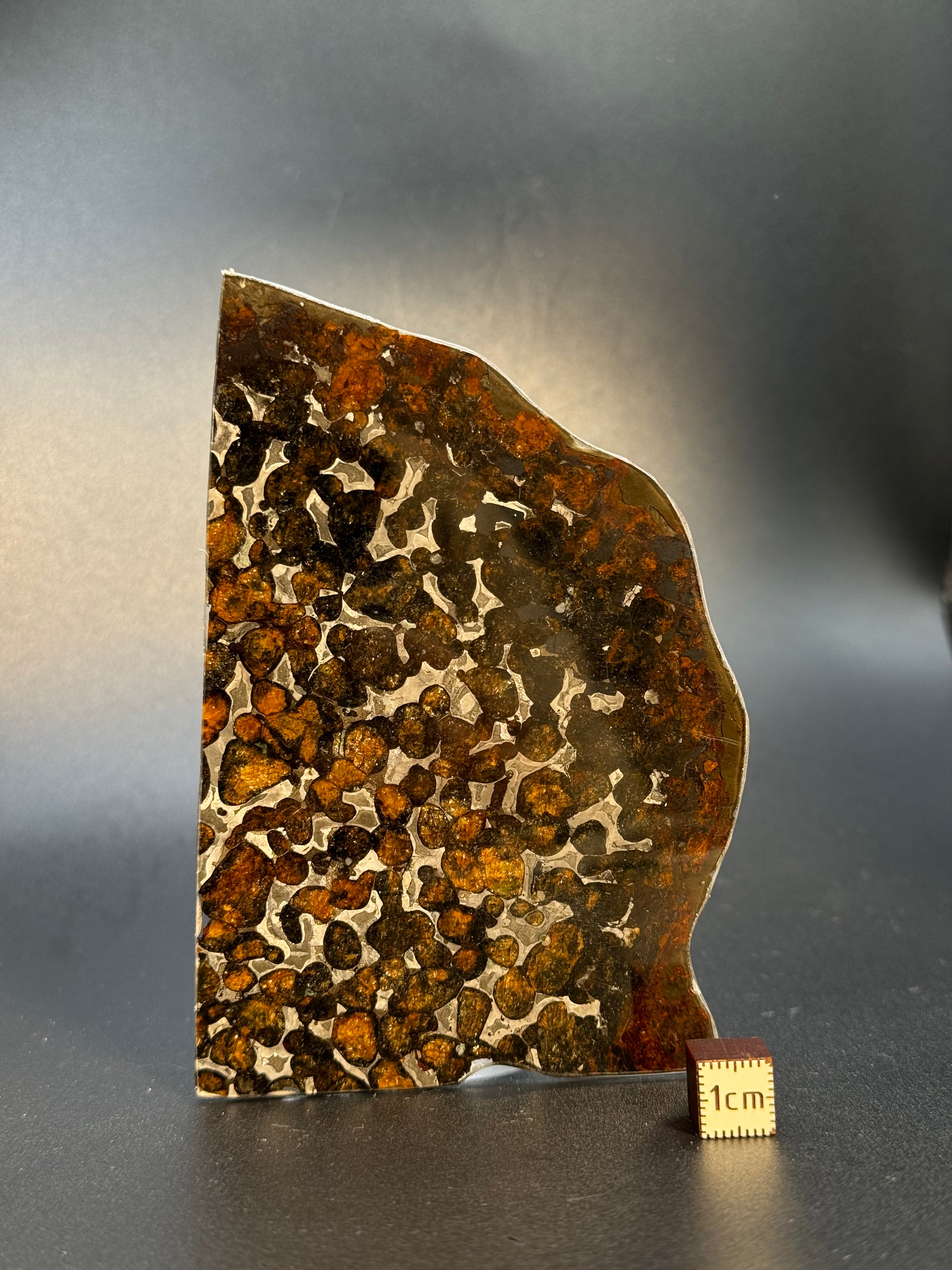 SERICHO METEORITE, KENYA. 49 GRAMS SLICE