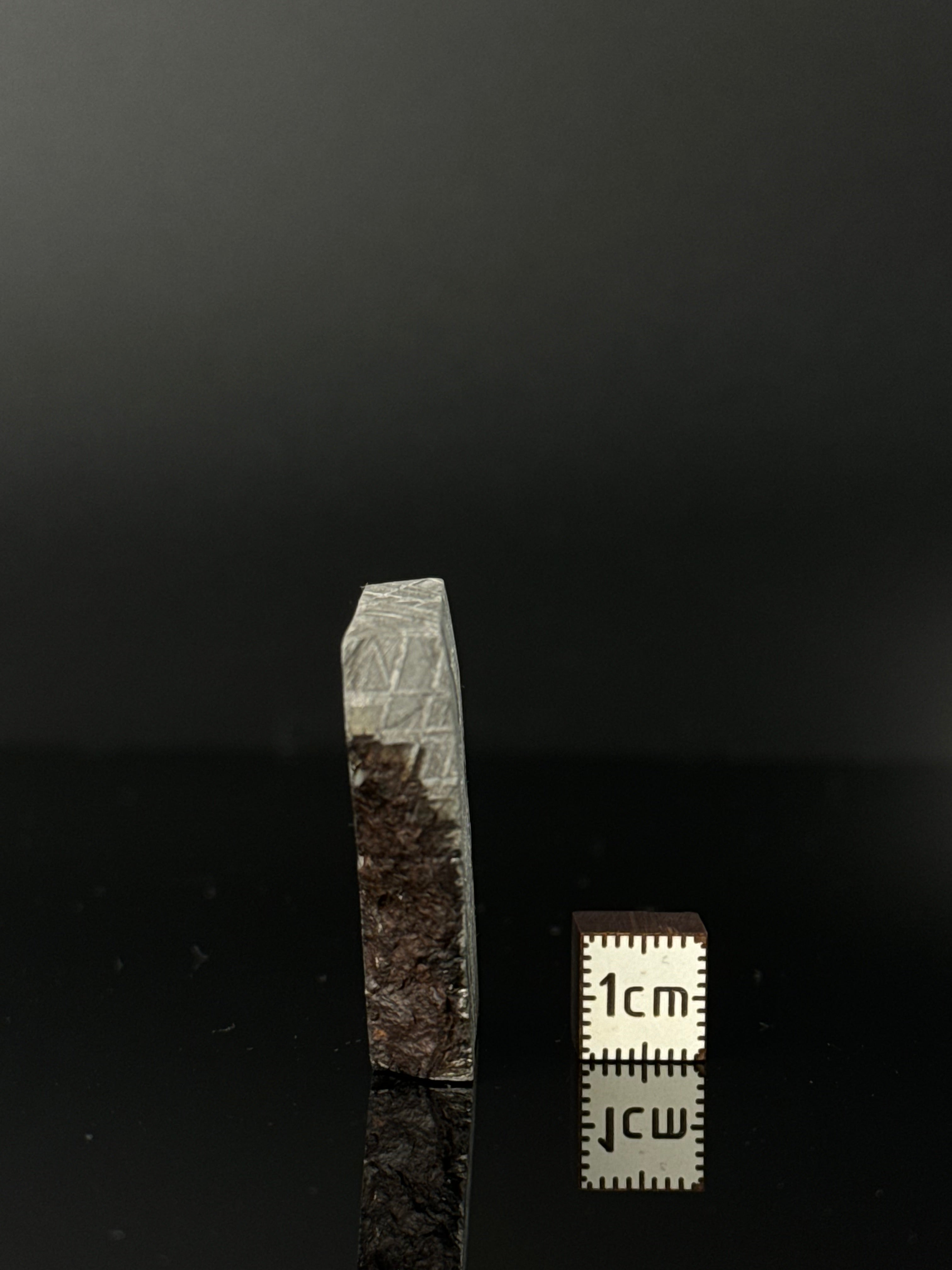 MUONIONALUSTA METEORITE, SWEDEN 42,78 GRAMS.