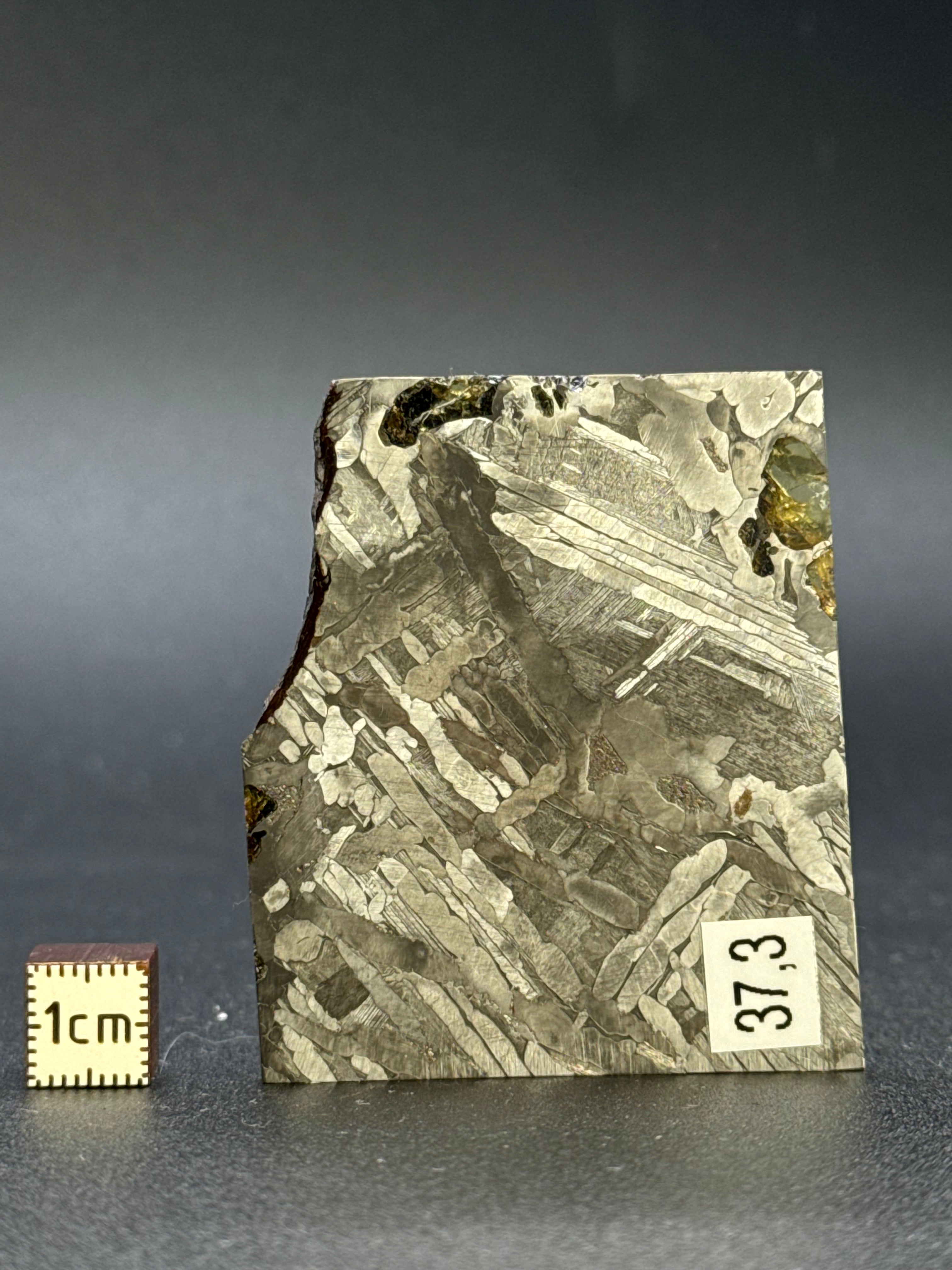 SEYMCHAN METEORITE, MAGADAN REGION, RUSSIA. 37,3 GRAMS.